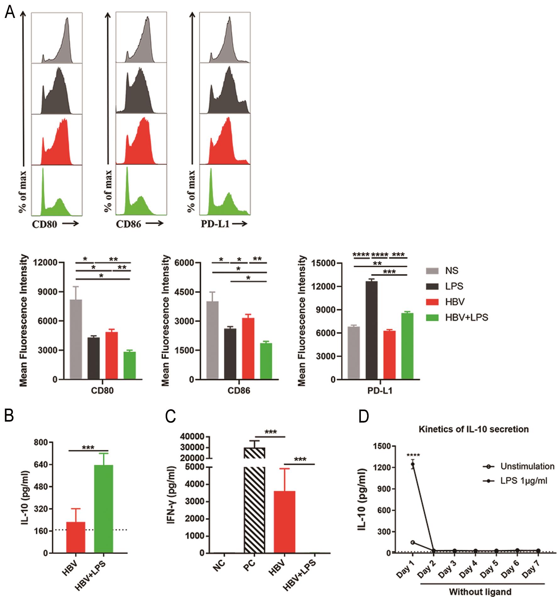 LPS stimulation induces strengthened suppressive phenotype, enhanced IL-10 production and T cell suppression of KCs in HBV-replicating mice.