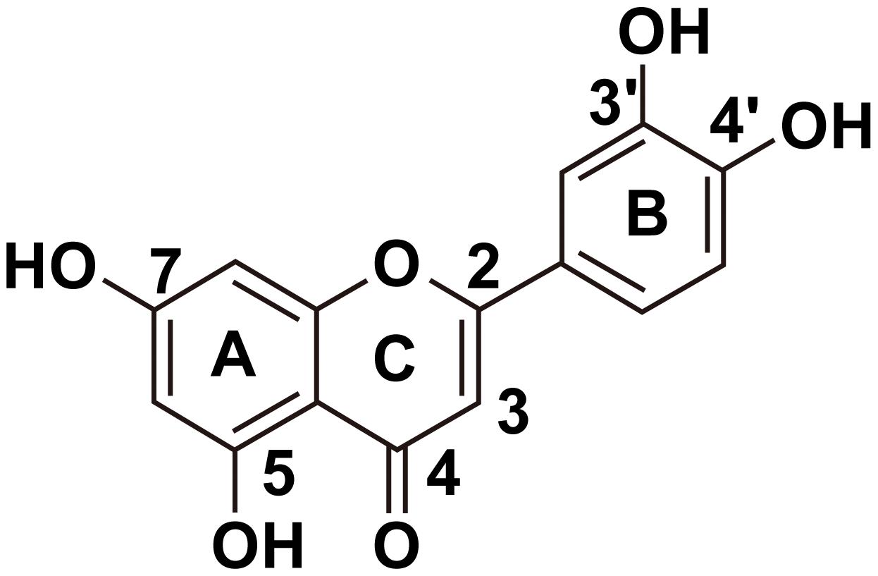 Luteolin molecular structure.