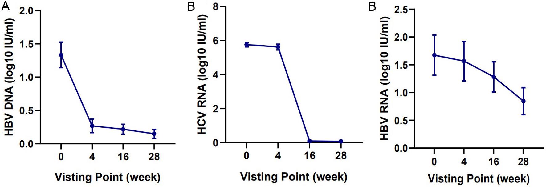 Changes in HBV DNA, HCV RNA, and HBV RNA at the end of SOF/VEL treatment.
