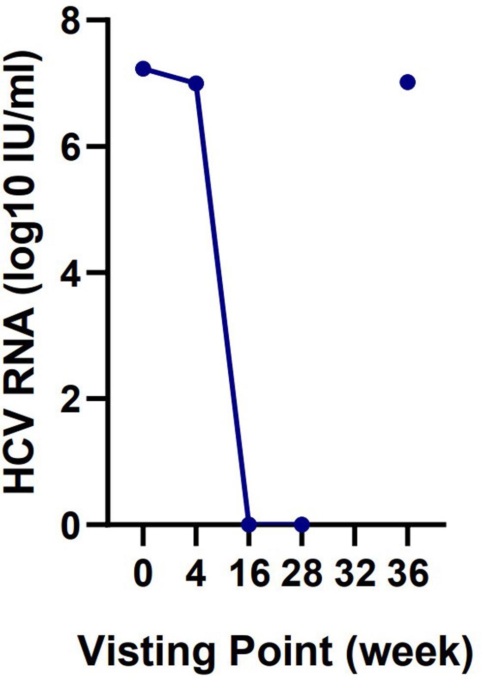 HCV recurrence.