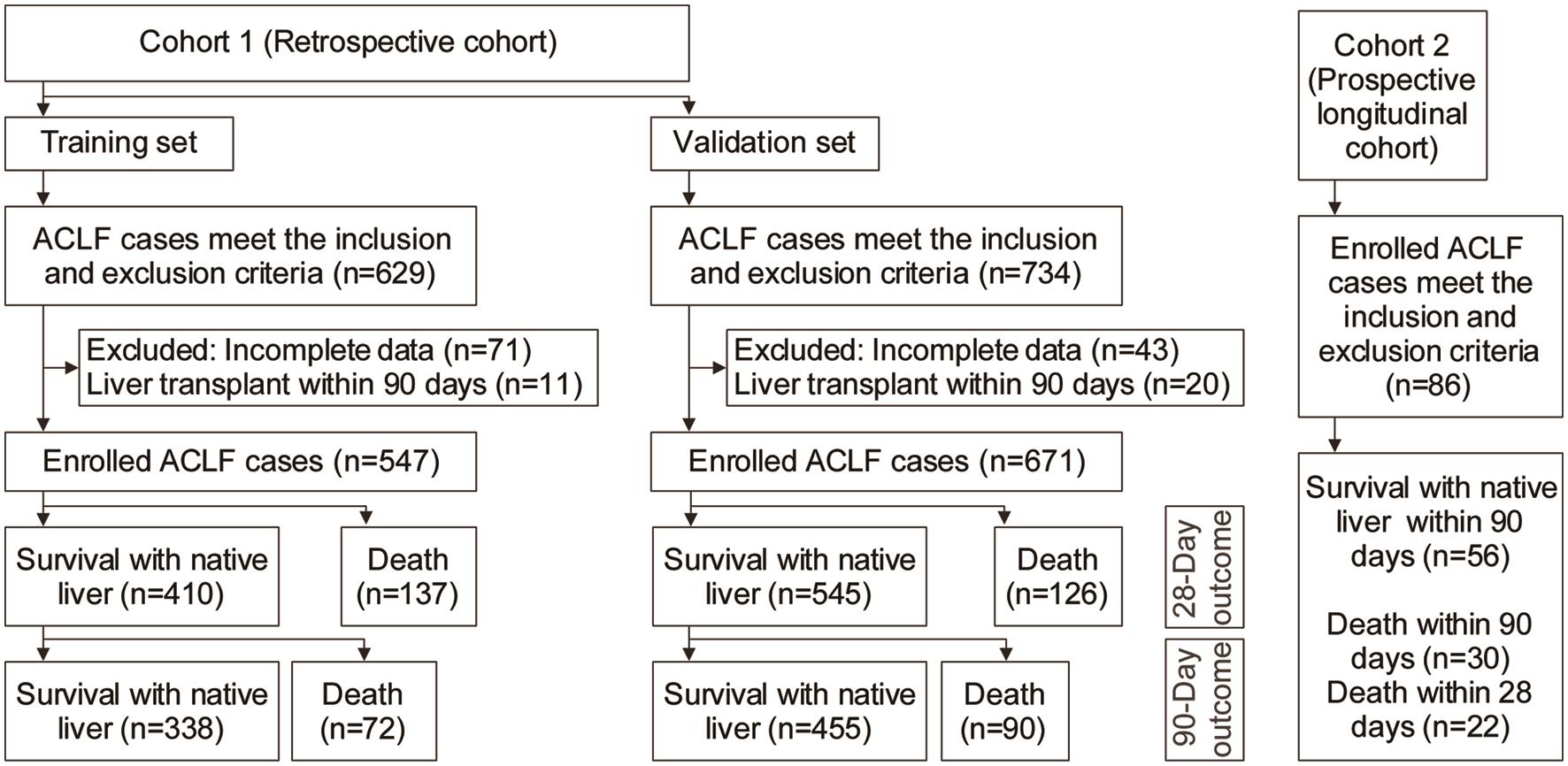 Flow chart of ACLF cases in the respective and prospective cohorts.
