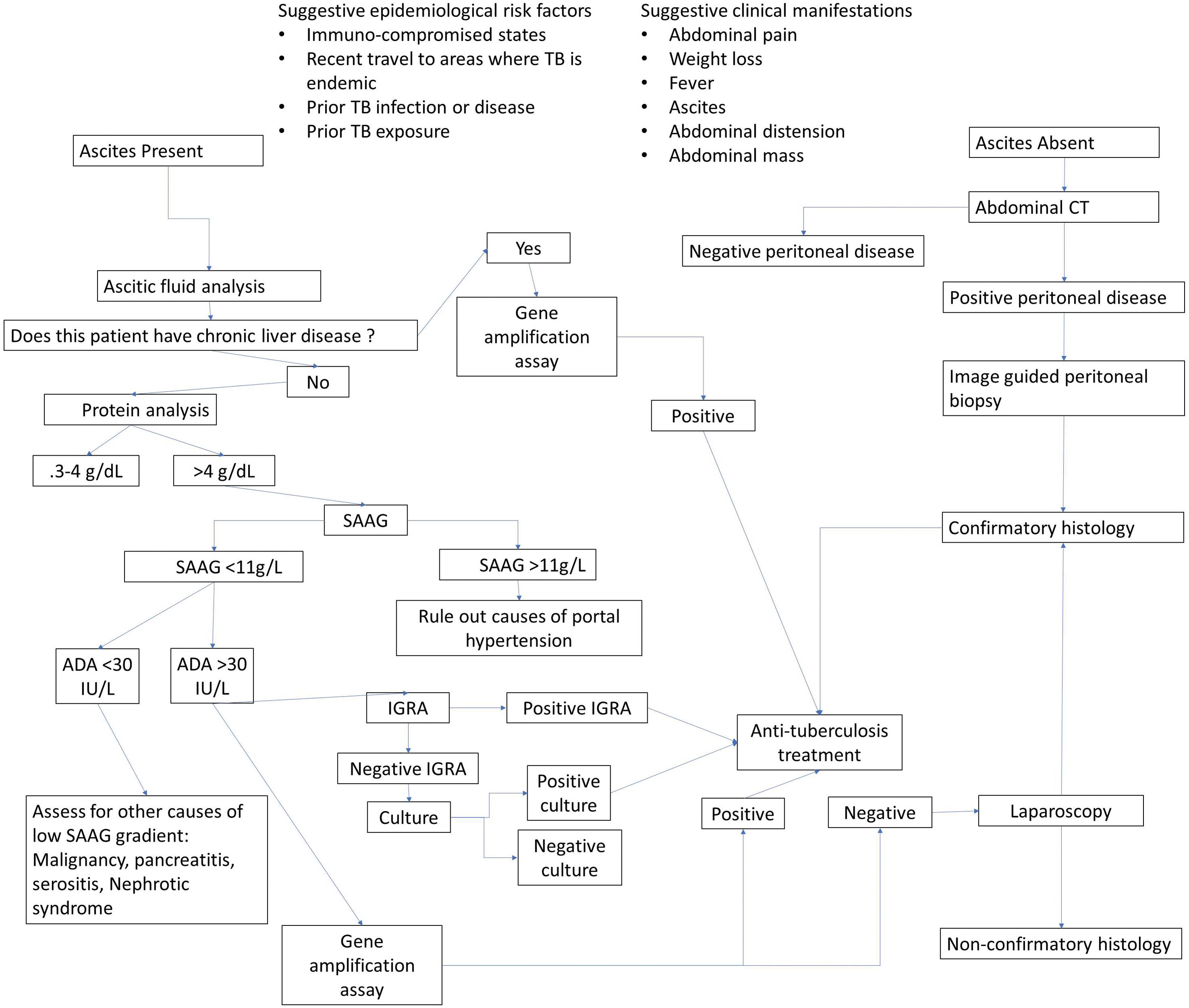 Proposed algorithm for diagnostic strategies in PTB, adapted and modified from Sinai, 2005.