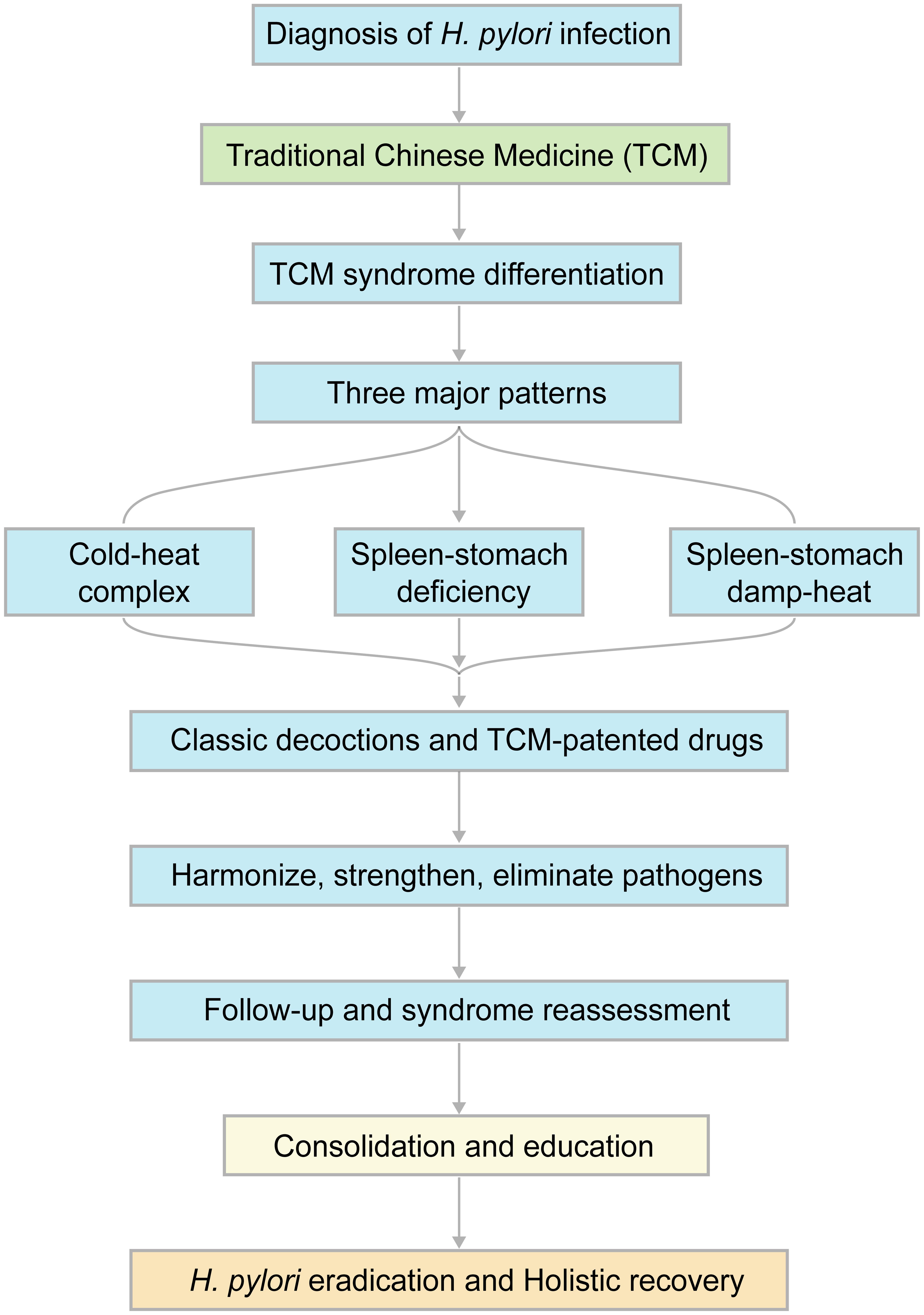 Schematic diagram of the Traditional Chinese Medicine (TCM) diagnostic and therapeutic framework for <italic>Helicobacter pylori</italic> (<italic>H. pylori</italic>) infection.