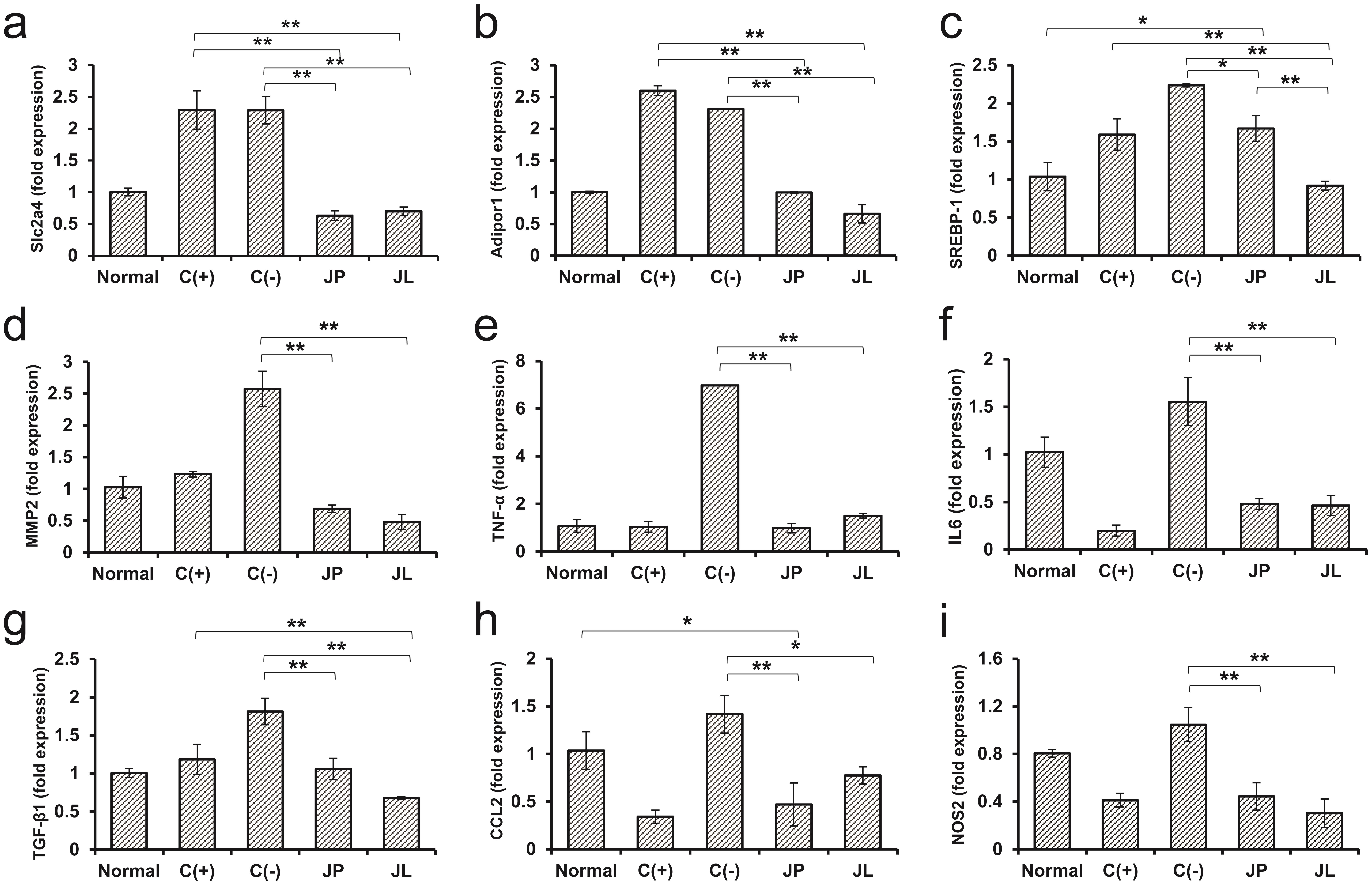 Gene expression of Slc2a4 (a), Adipor1 (b), SREBP-1 (c), MMP2 (d), TNF-α (e), IL6 (f), TGF-β1 (g), CCL2 (h), and NOS2 (i) in the controls (positive and negative) and fermented diet treated groups (JP and JL) relative to Normal.
