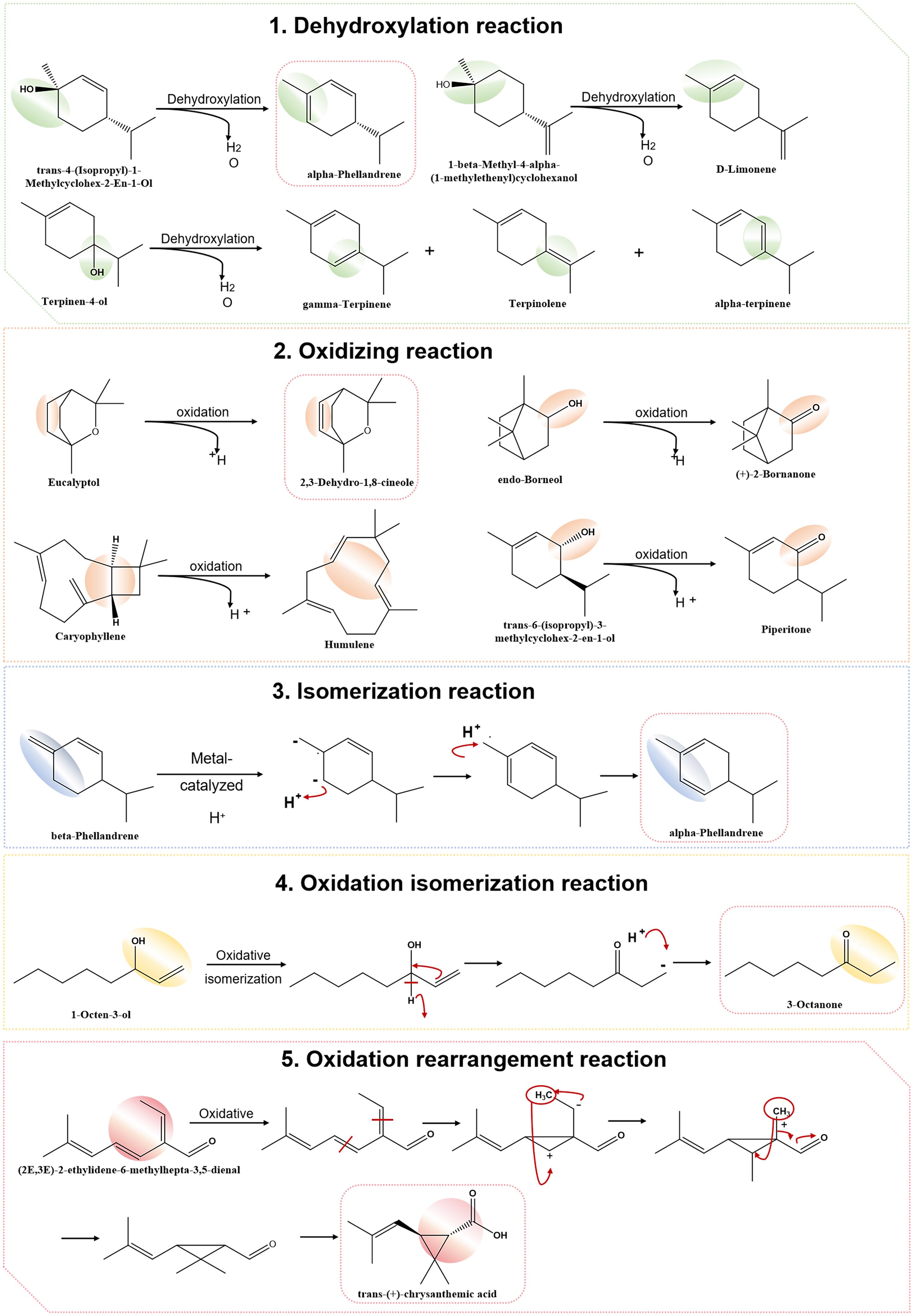 Interconversion of components during storage of AAEO.