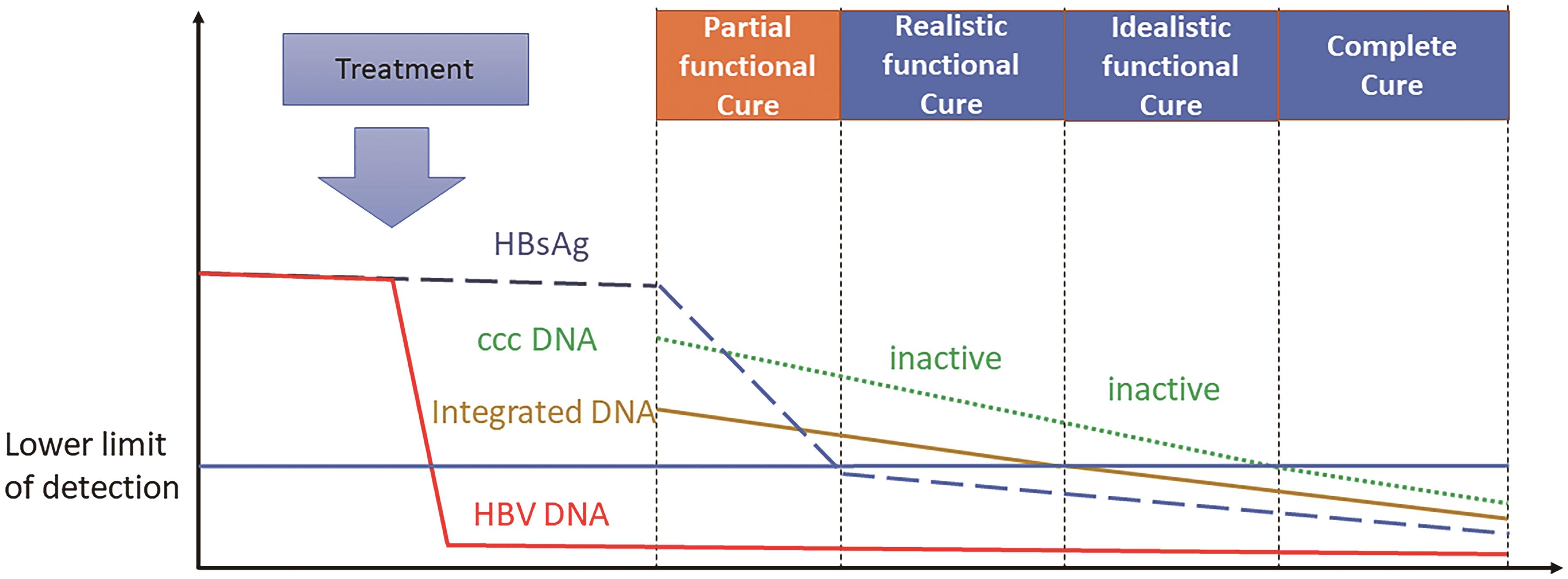 Characteristics and evolution of the biomarkers defining various hepatitis B cures.