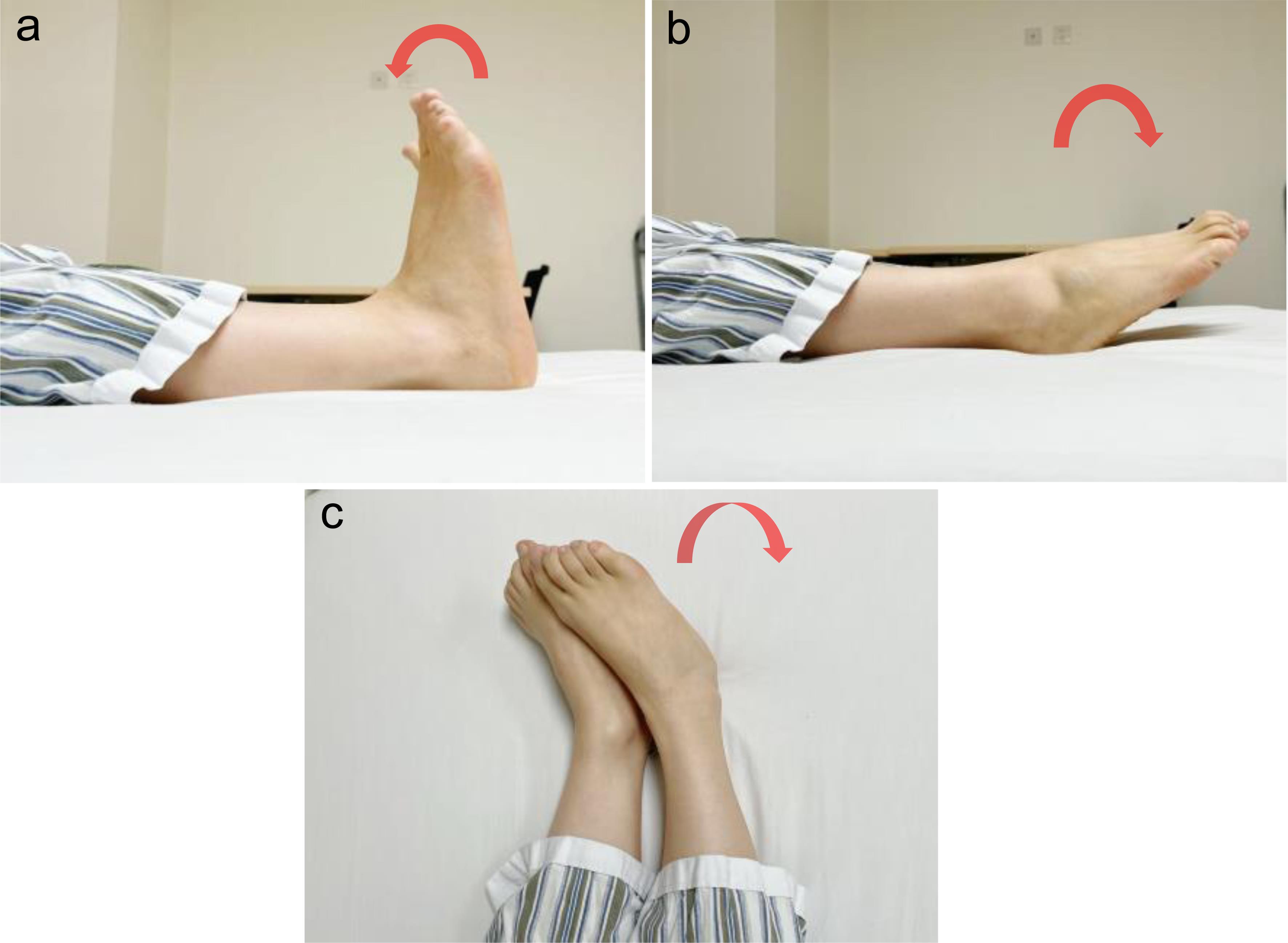 Ankle pump exercises.