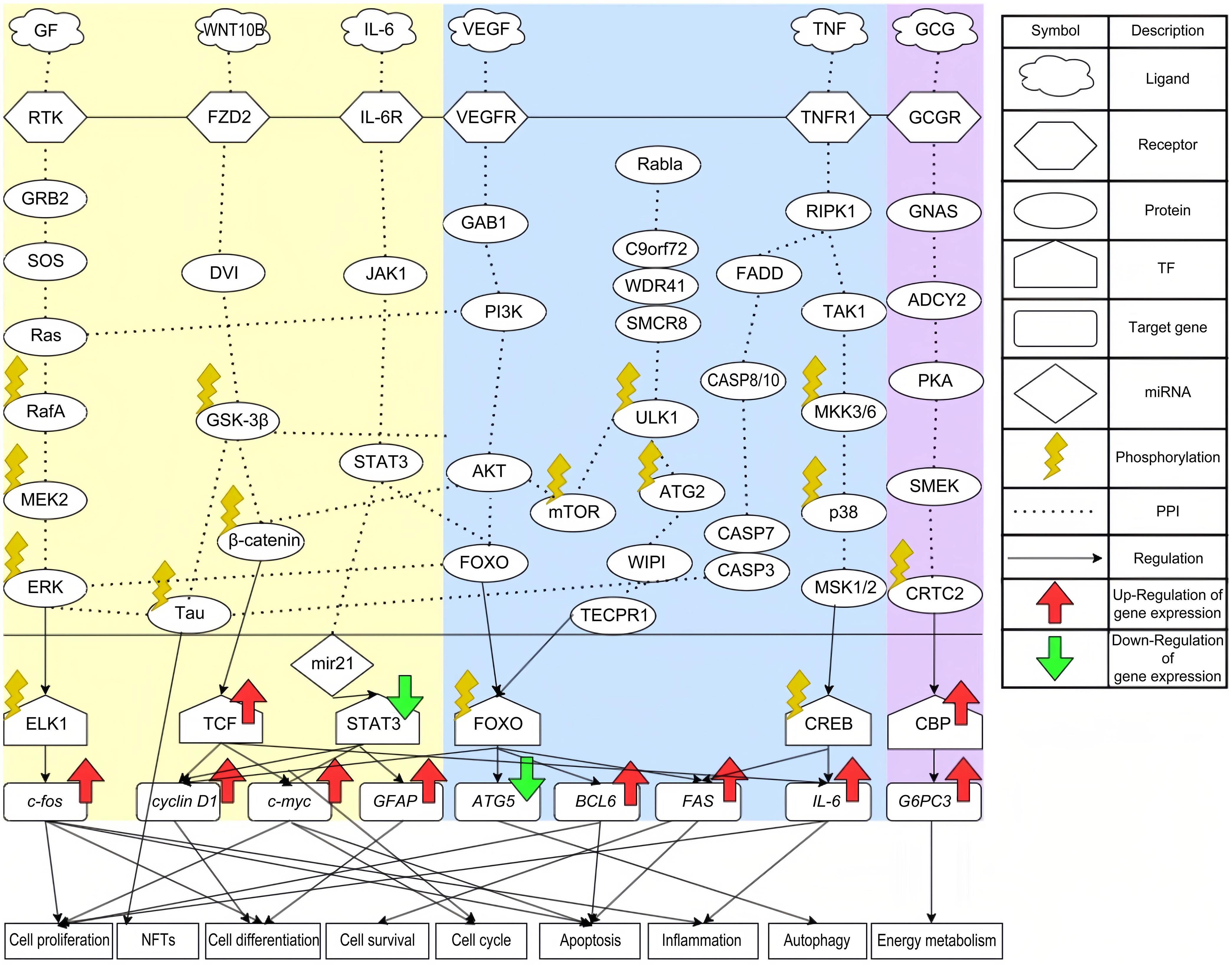 Core signaling pathways of frontotemporal dementia (FTD) and healthy control.
