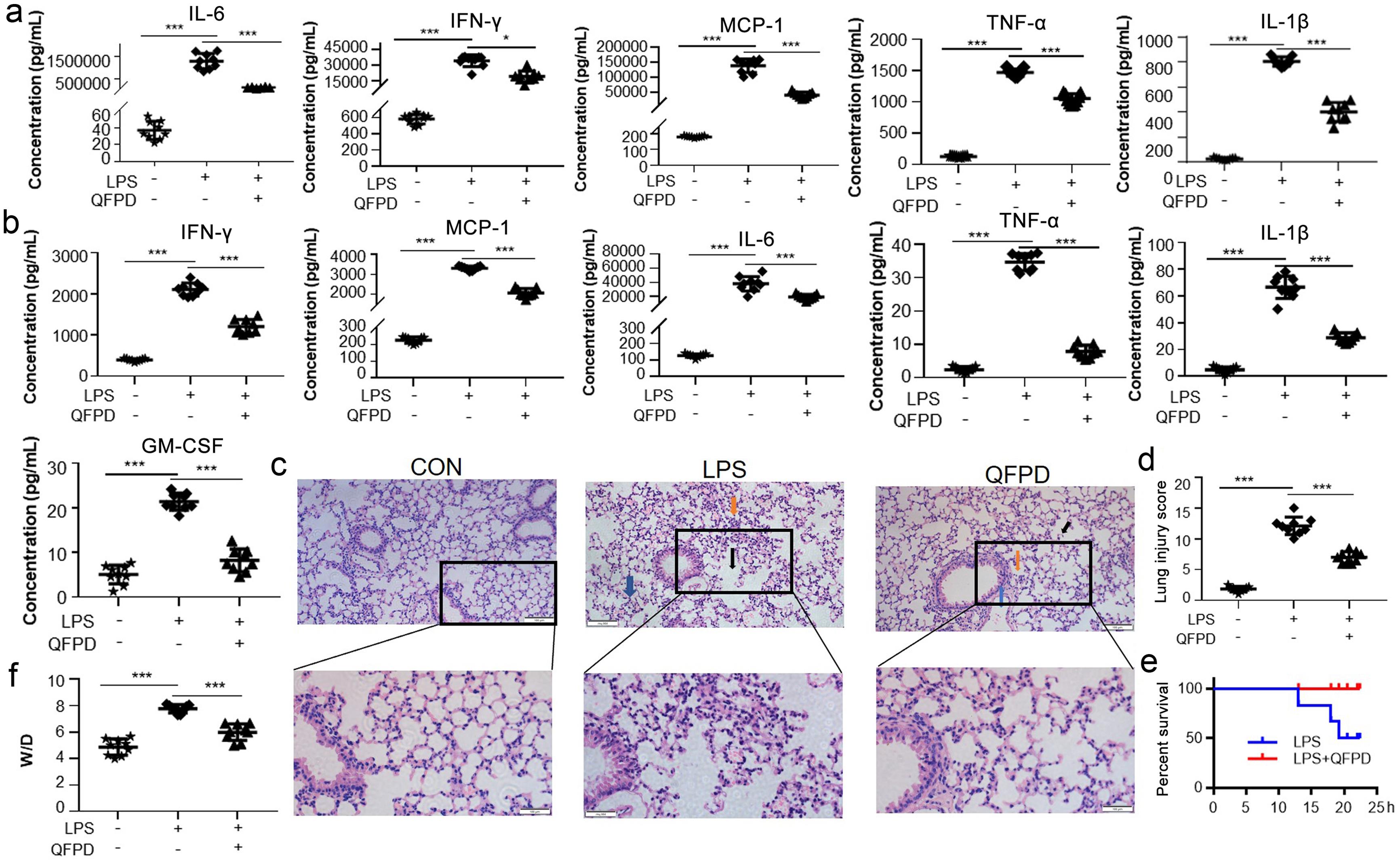 QFPD exerts protective effects against LPS-induced ALI <italic>in vivo</italic>.