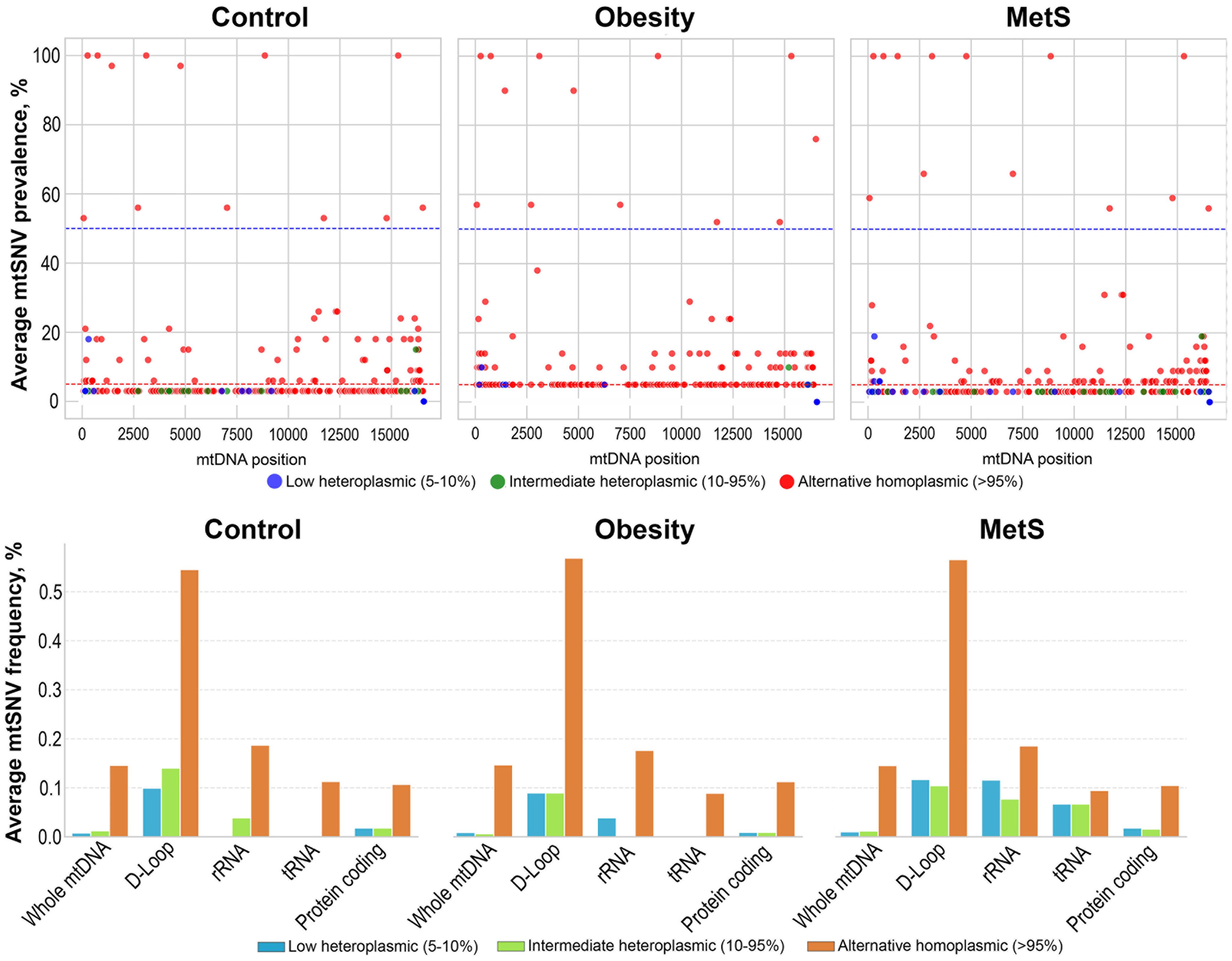 Spatial characterization of mtSNV categories in the study groups.