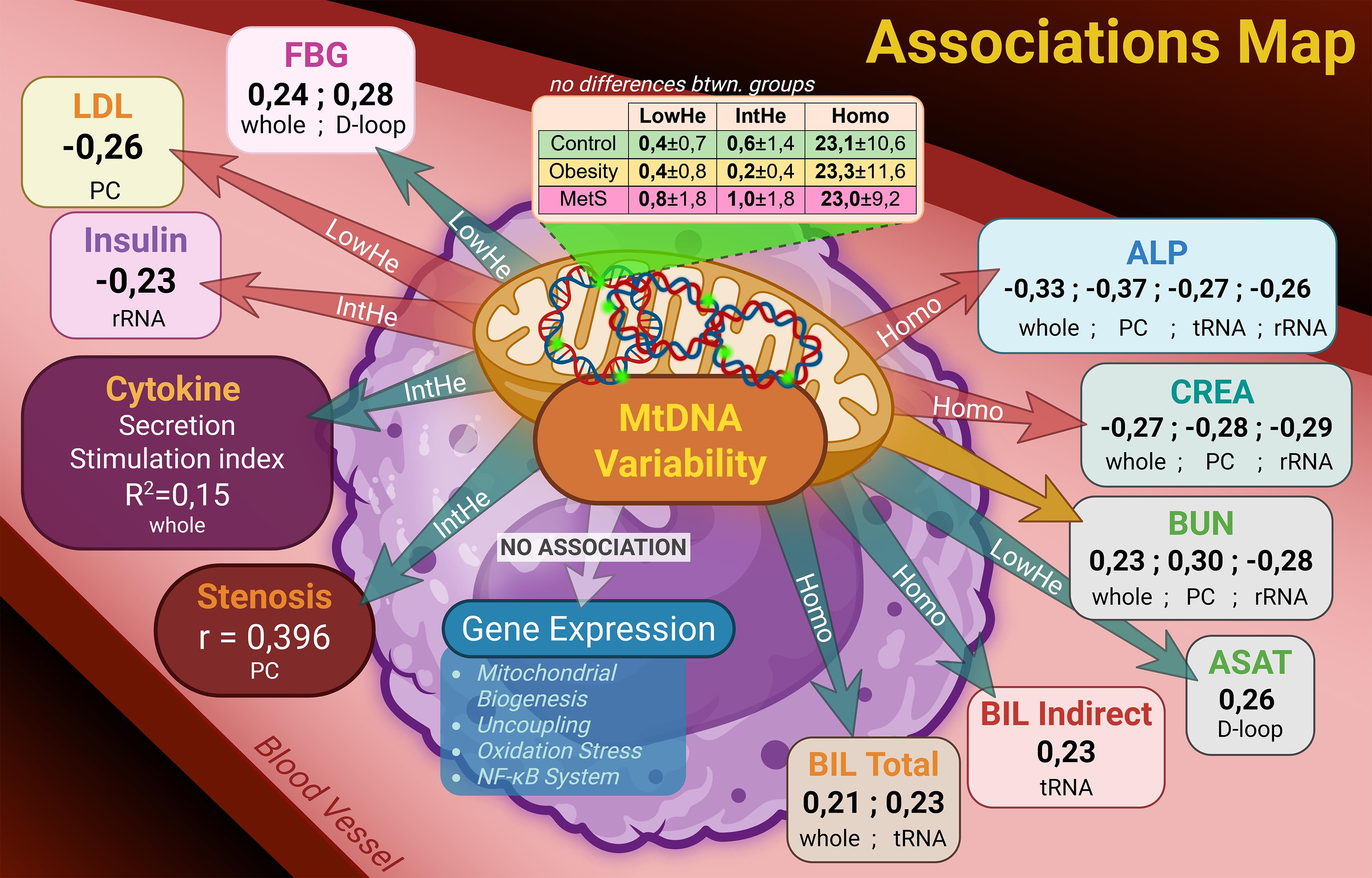 The summarized results of the study.