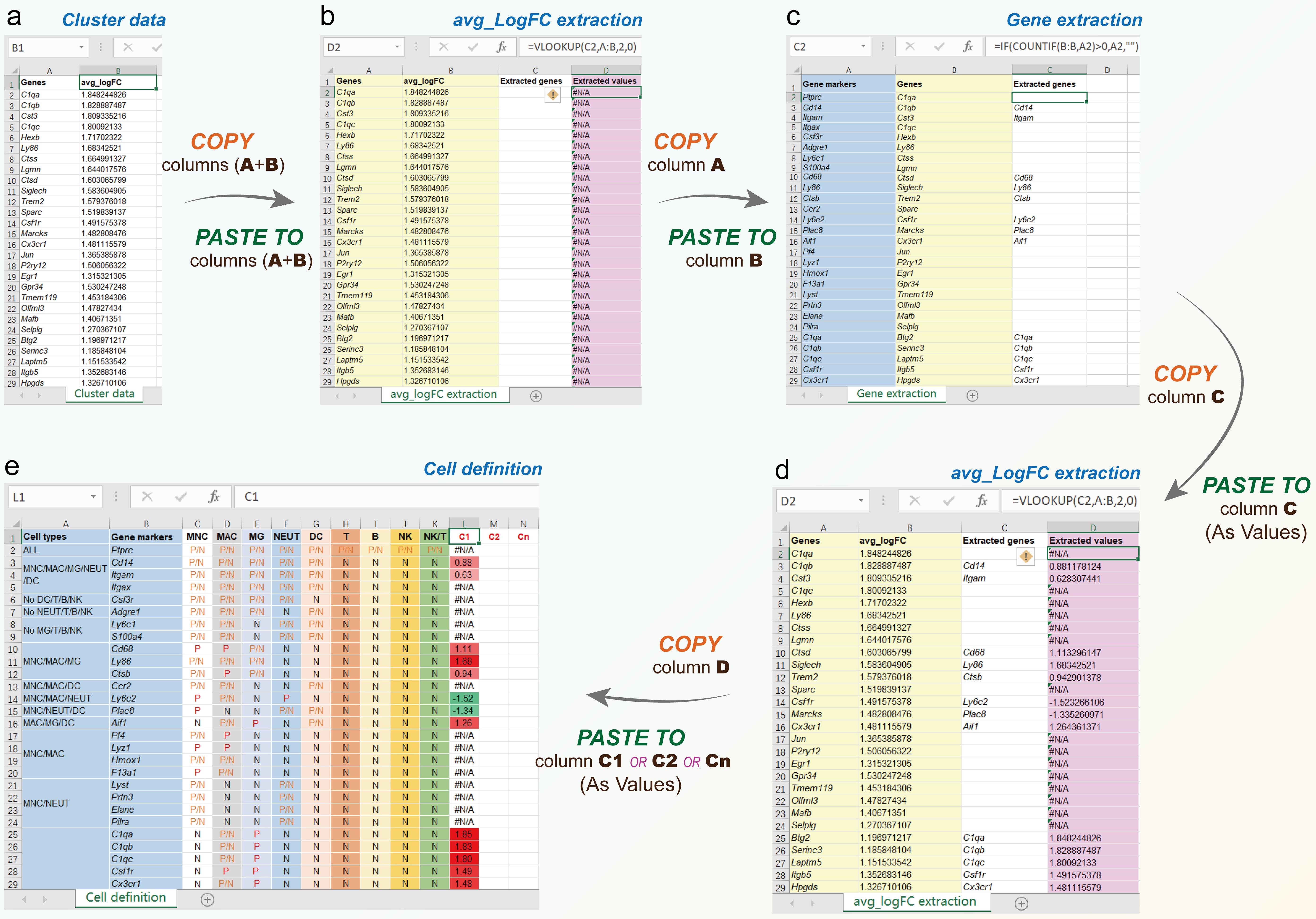 Excel template and CTIM workflow.