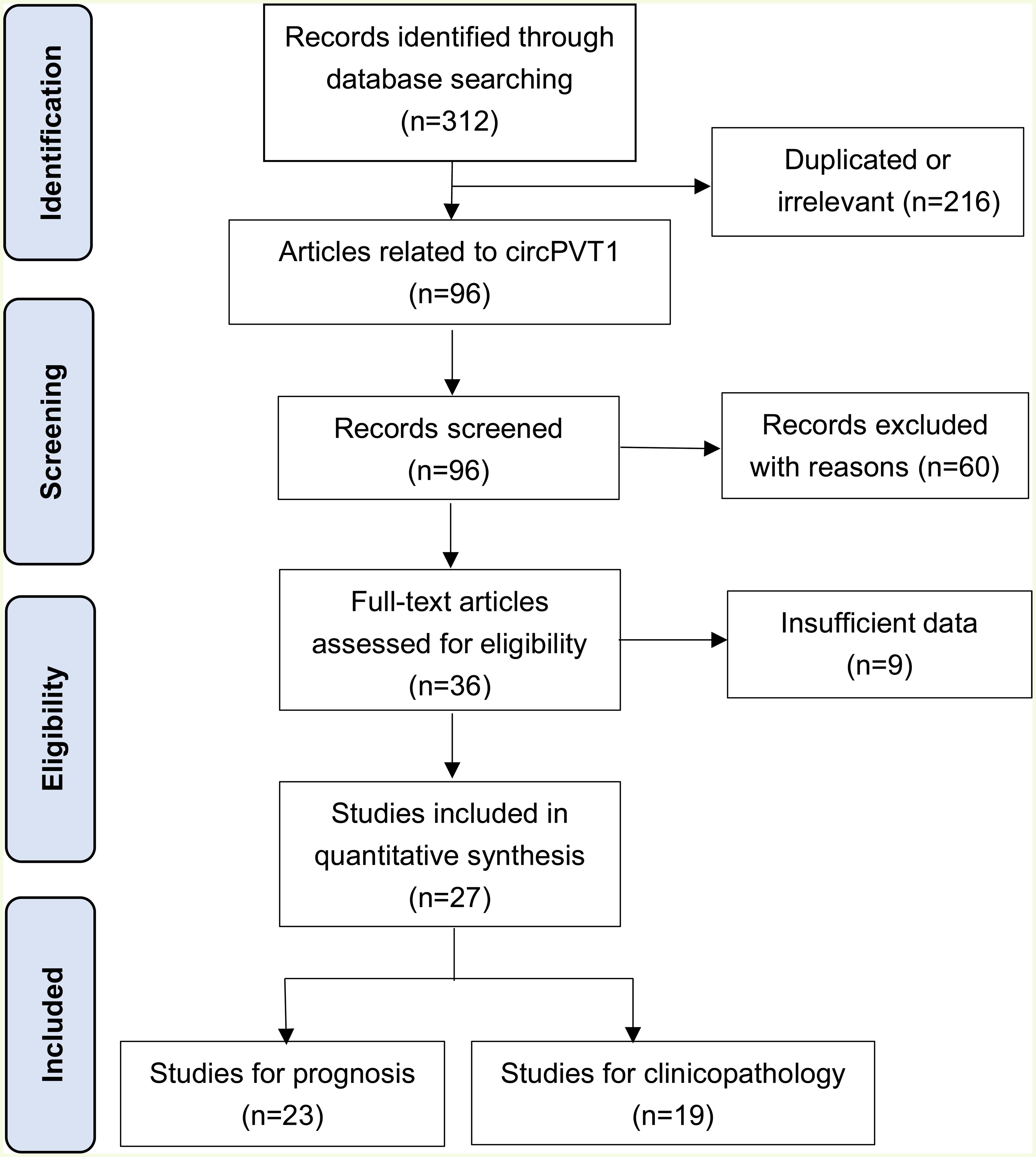 The flowchart illustrating the study selection process.