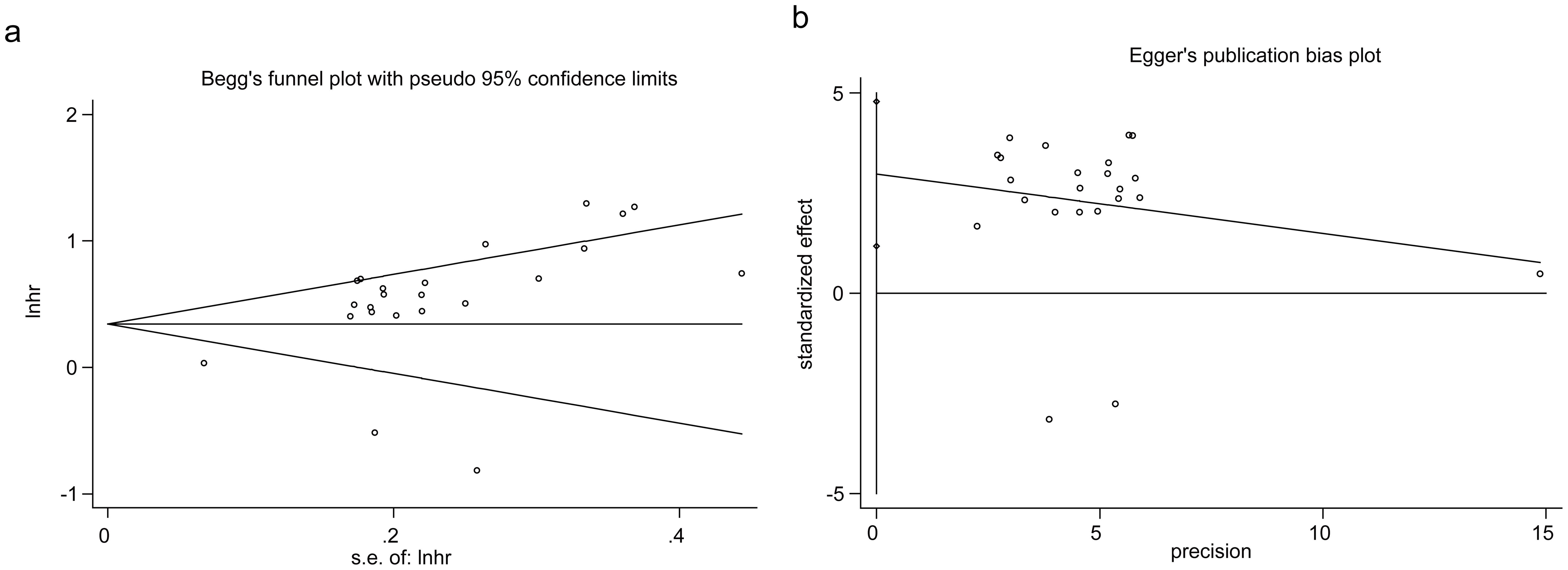 Publication bias test.