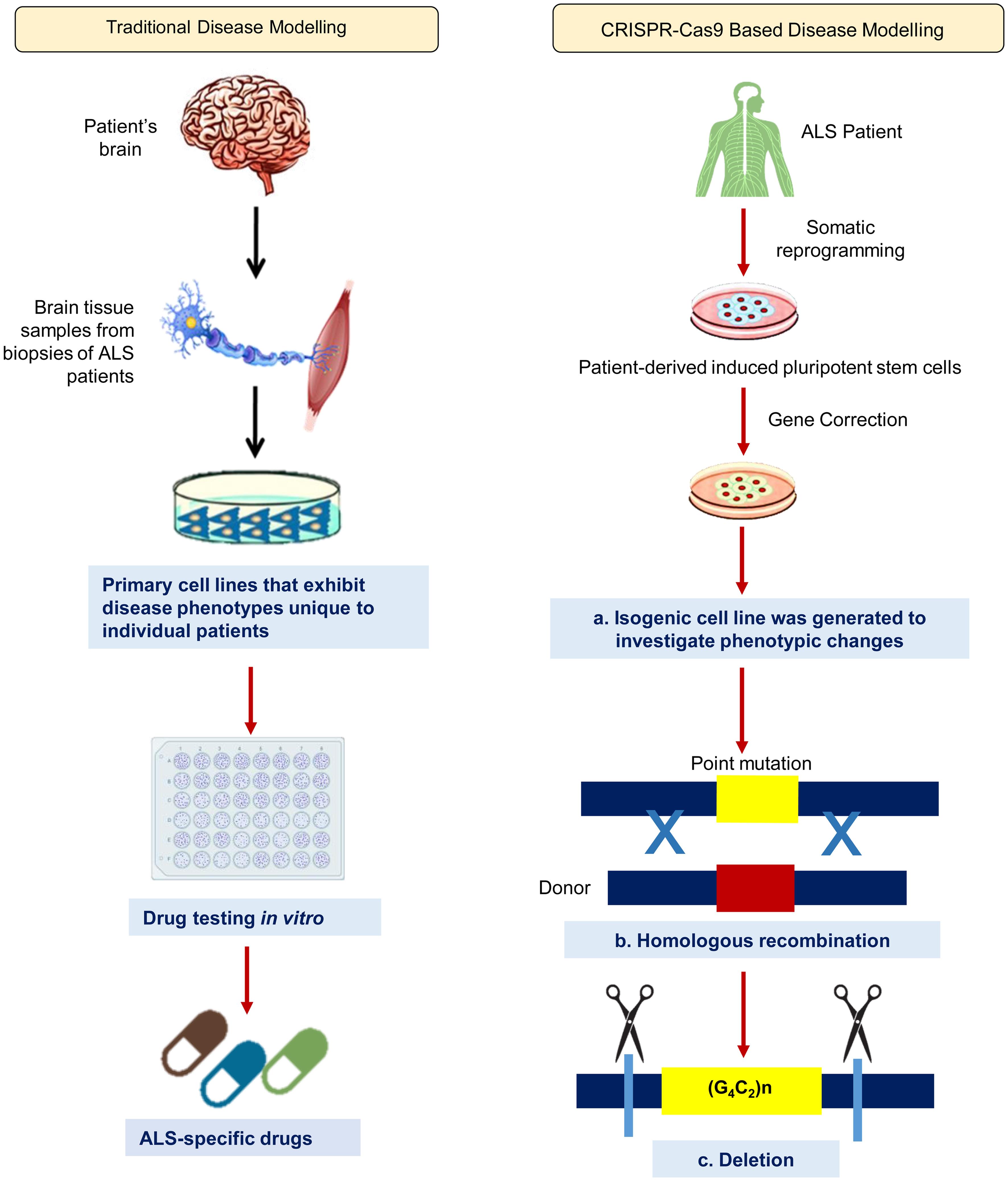Disease modeling using CRISPR/Cas9 versus conventional methods.