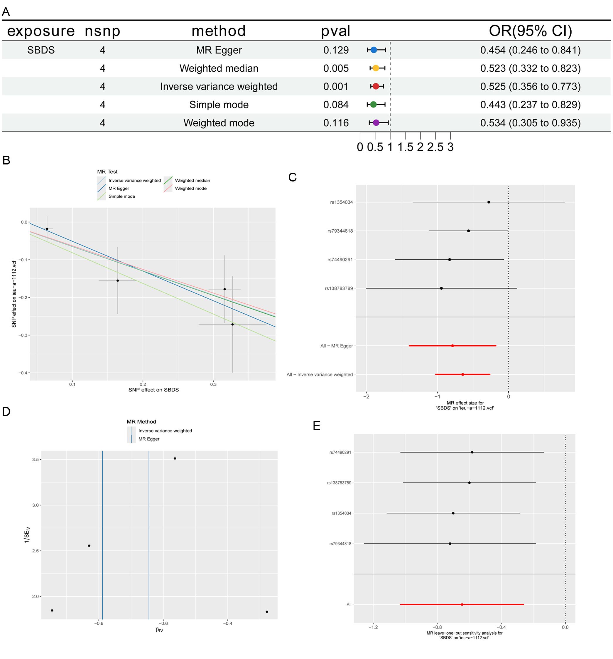 Two-sample MR analysis of plasma SBDS and PSC risk.