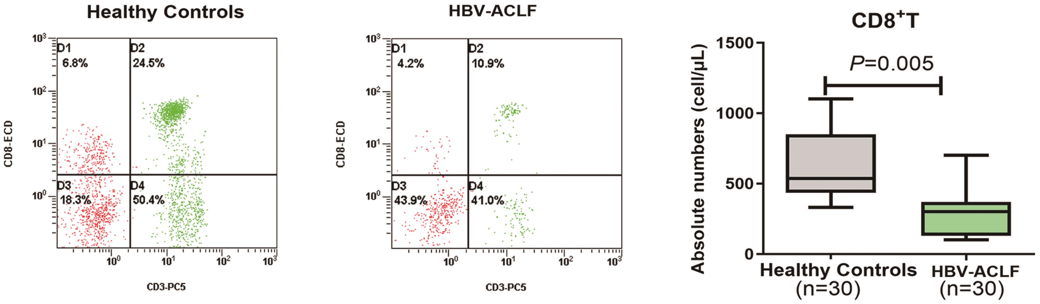 Proportion and absolute numbers of peripheral CD8<sup>+</sup> T cells in patients with HBV- ACLF and HCs.