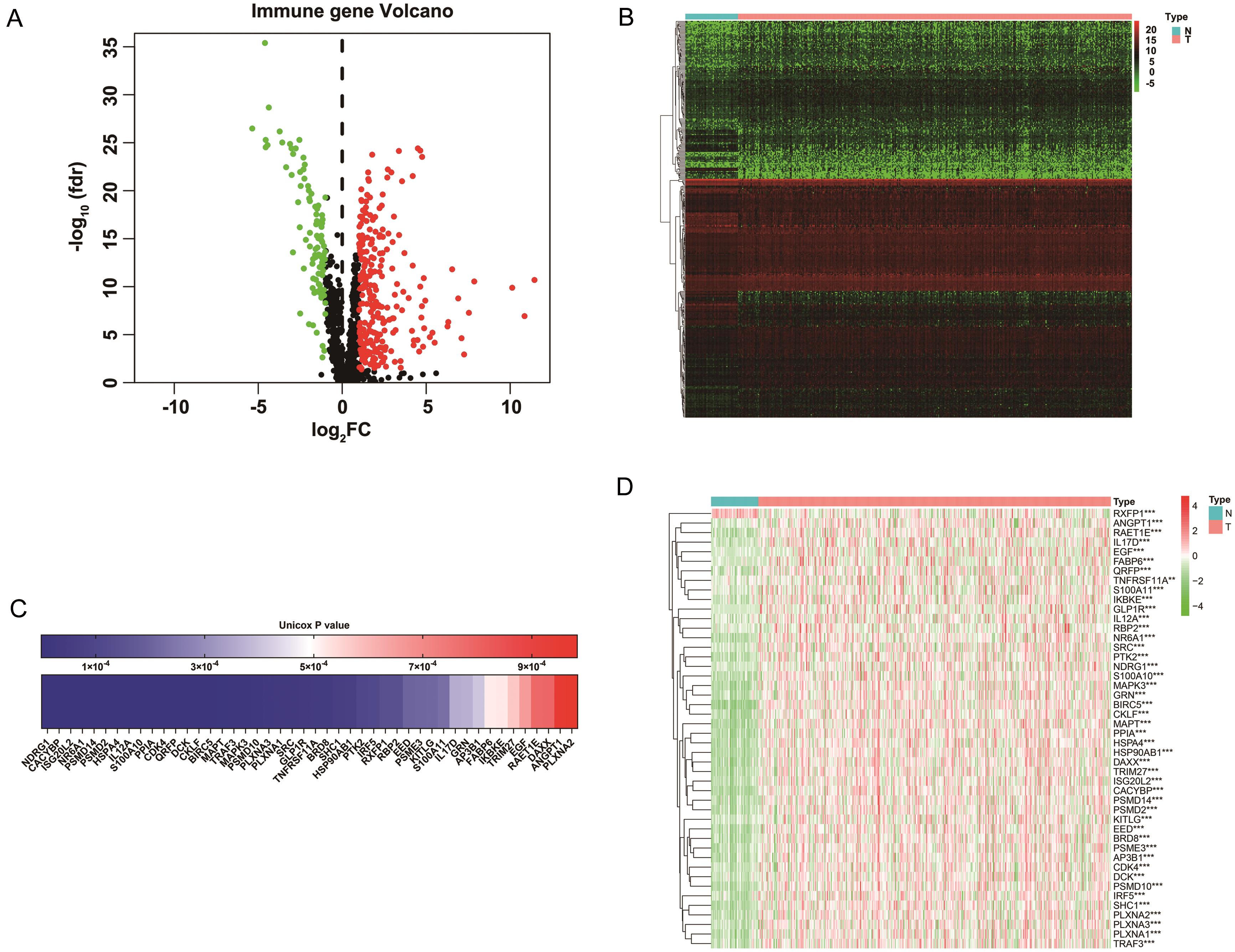 Selection of the immune-related differentially expressed genes (IR-DEGs) for the construction of hepatocellular carcinoma.