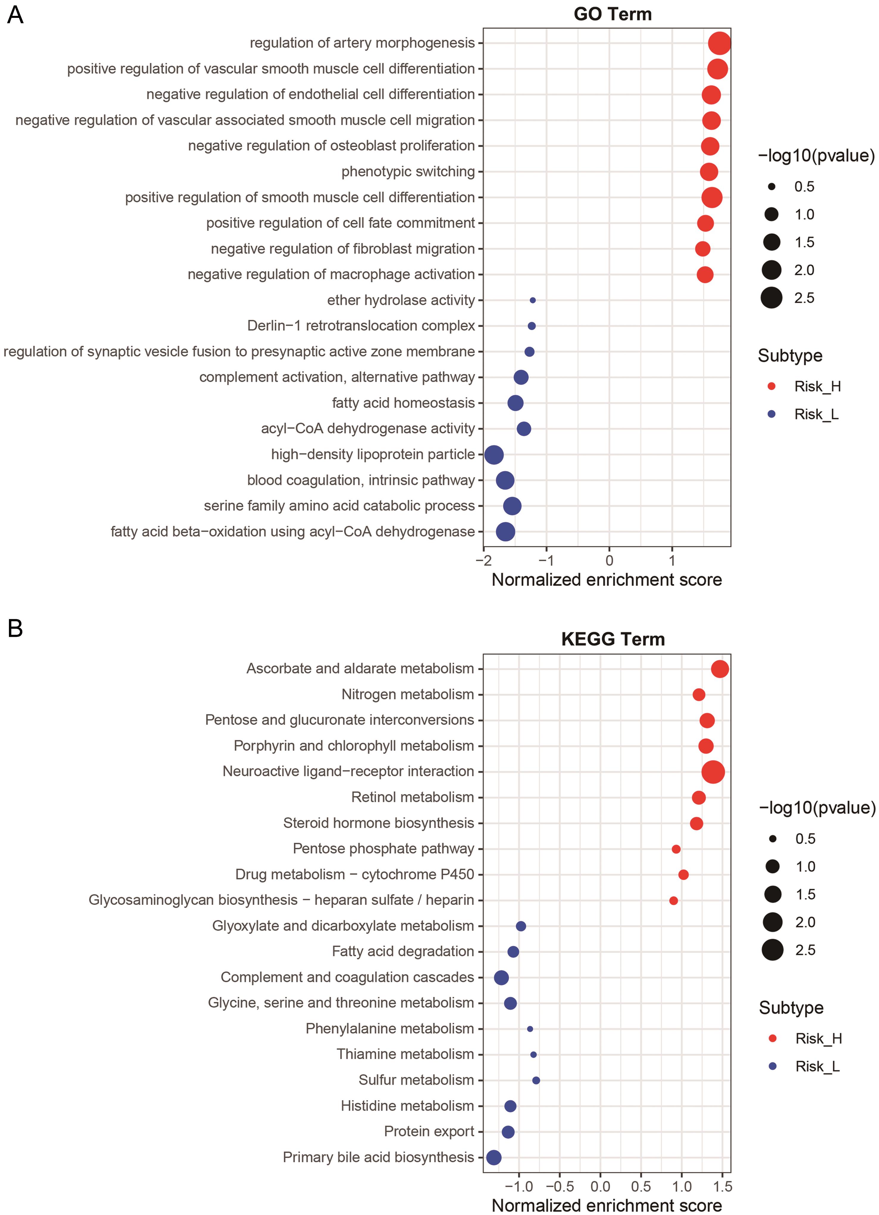 Differences in biological functions and pathways between hepatocellular carcinoma patients the high- and low-risk scores.