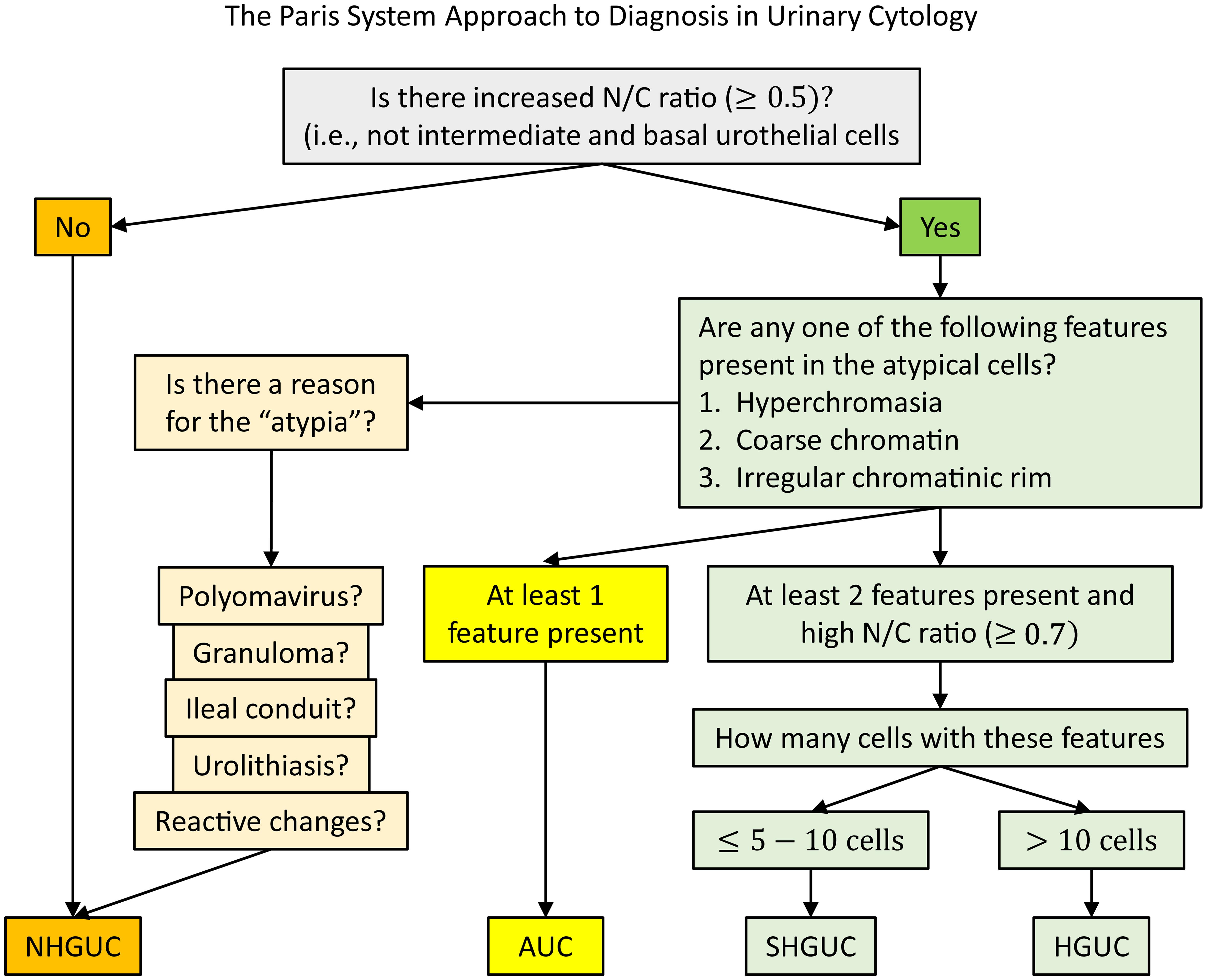 Graphic algorithm of the Paris System for Reporting Urinary Cytology decision tree.