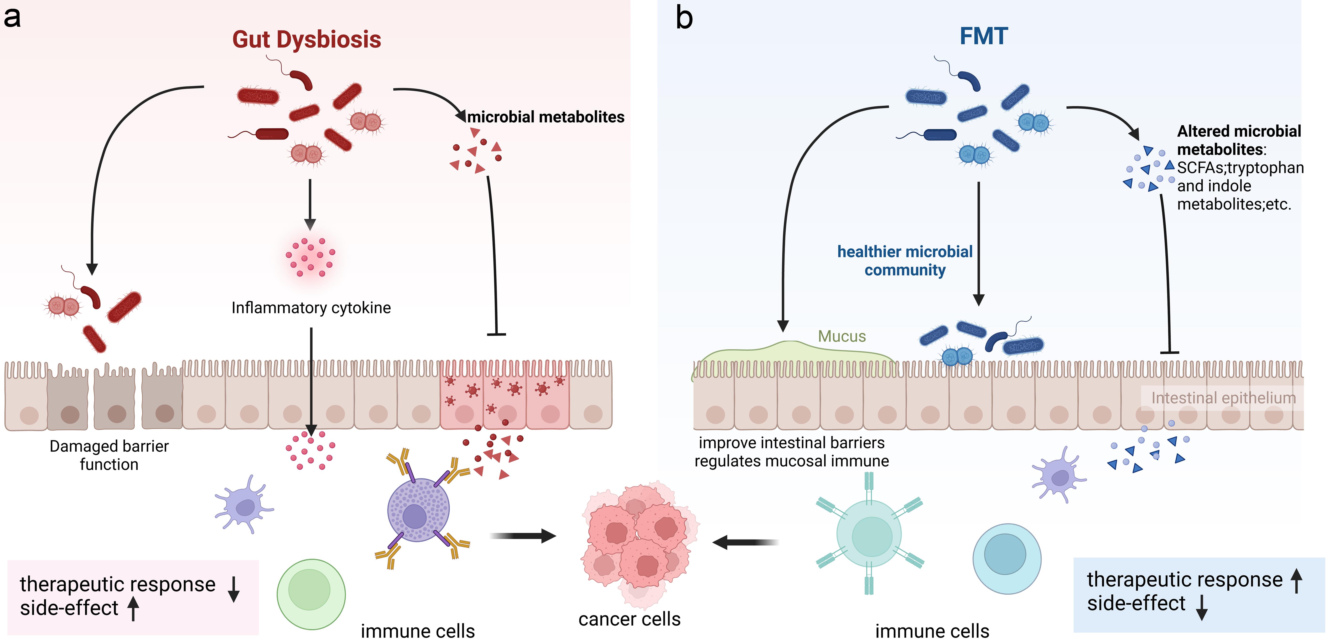 Gut dysbiosis and fecal microbiota transplantation for cancer.