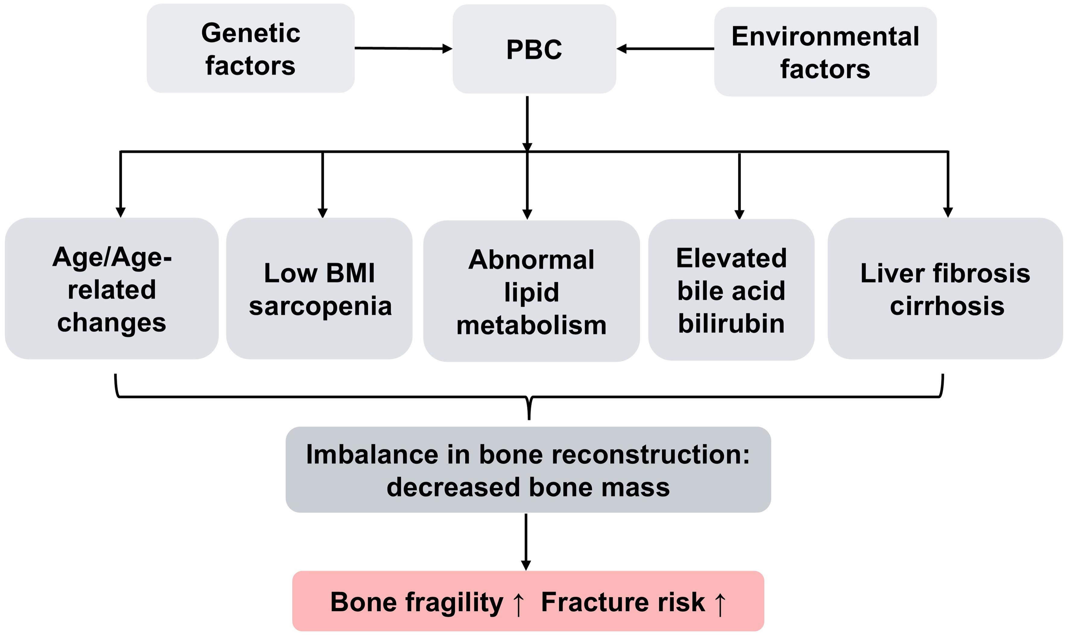 Risk factors for osteoporosis in PBC patients.