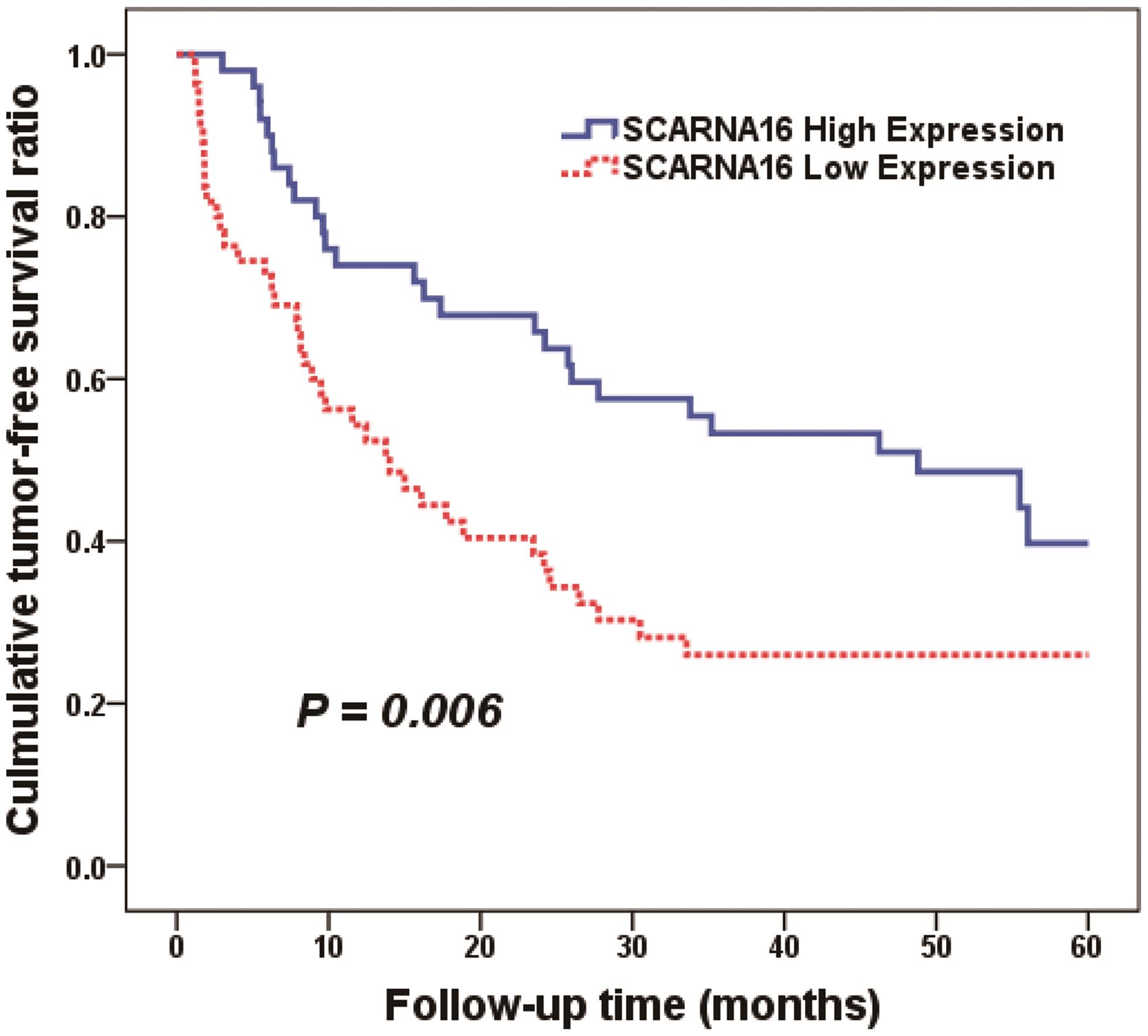 Kaplan-Meier analysis in TFS of HCC patients with low and high SCARNA16 expression.