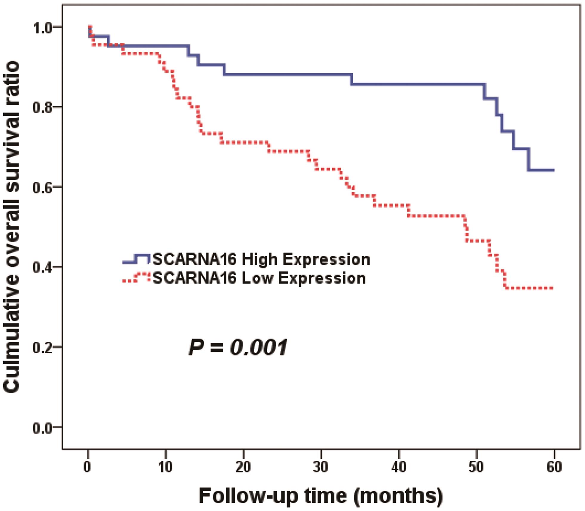 Kaplan-Meier analysis in OS of HCC patients with low and high SCARNA16 expression.