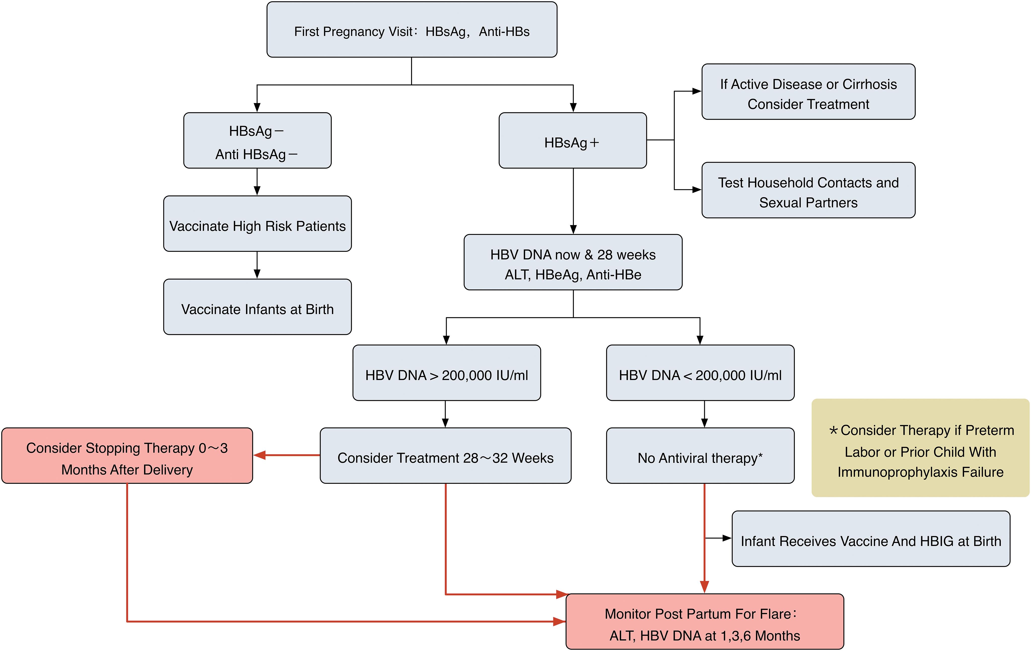 Suggested management of HBV in pregnant patients.