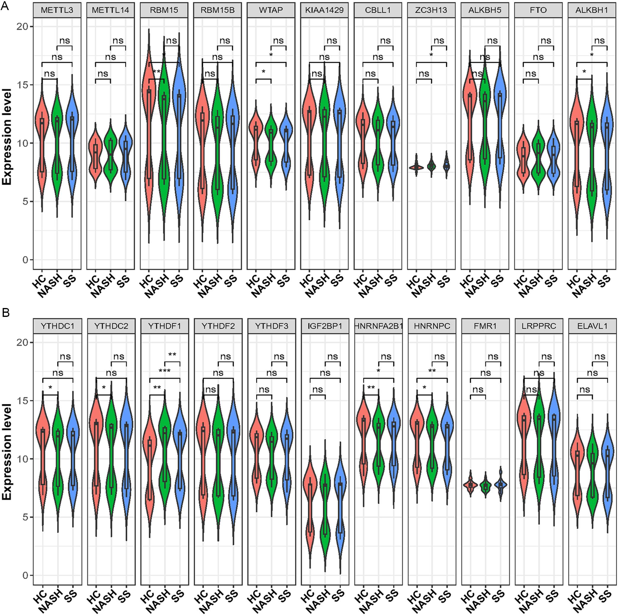 Expression of m6A regulators in NAFLD based on GEO database analysis.