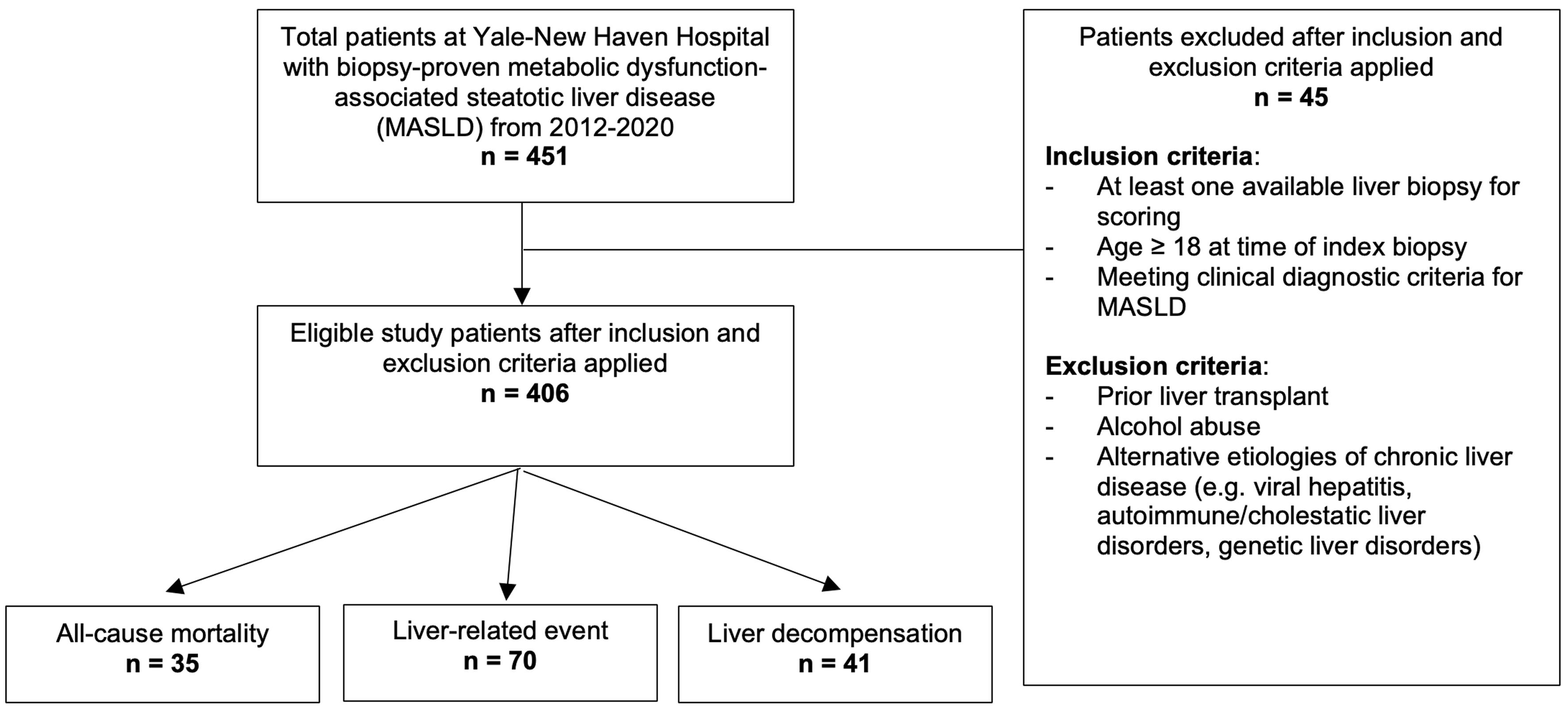 The flow of patients through the study.