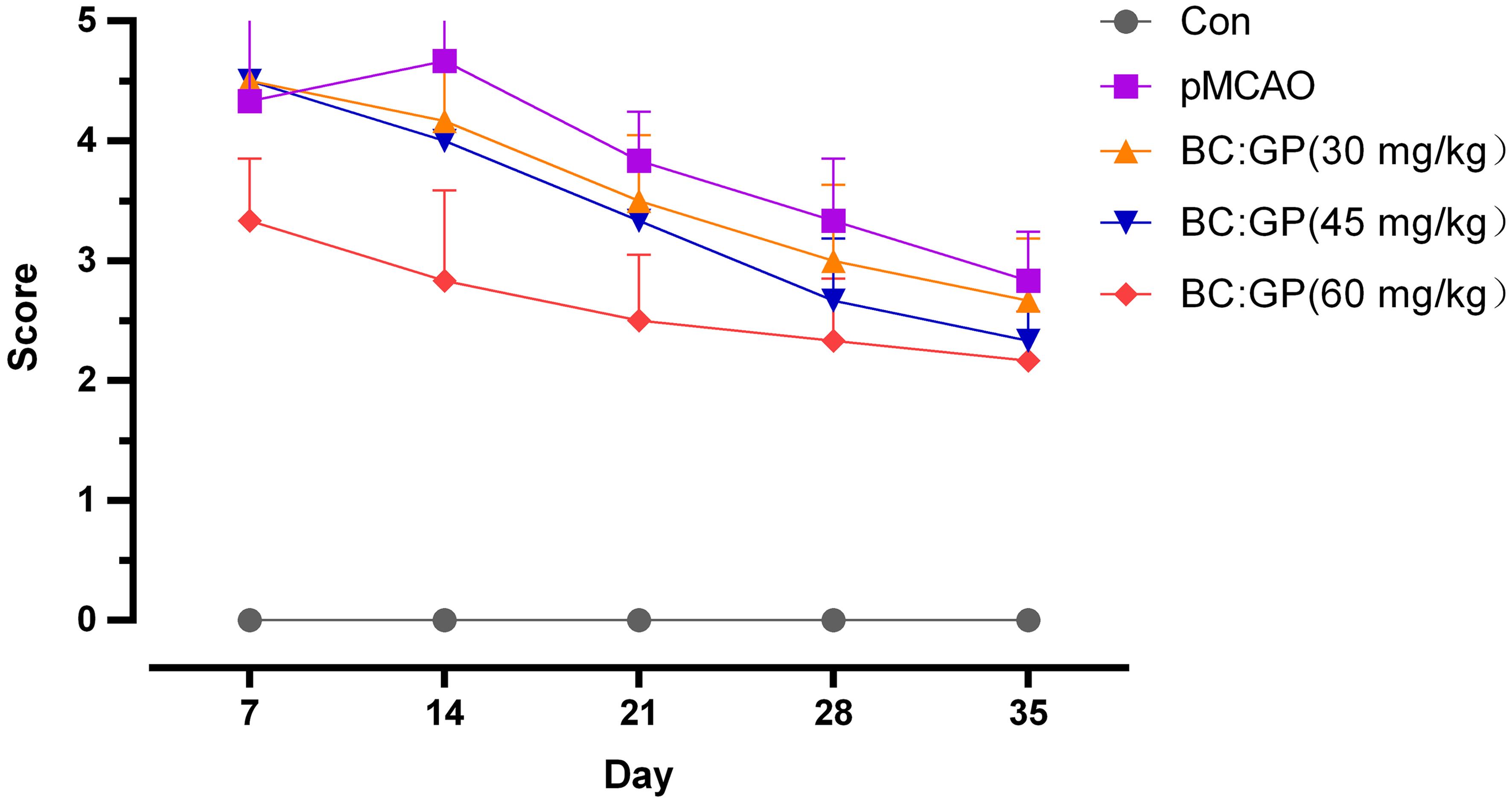 Effect of the BC/GP combination (7:3) on the neurological functional score in pMCAO rats.