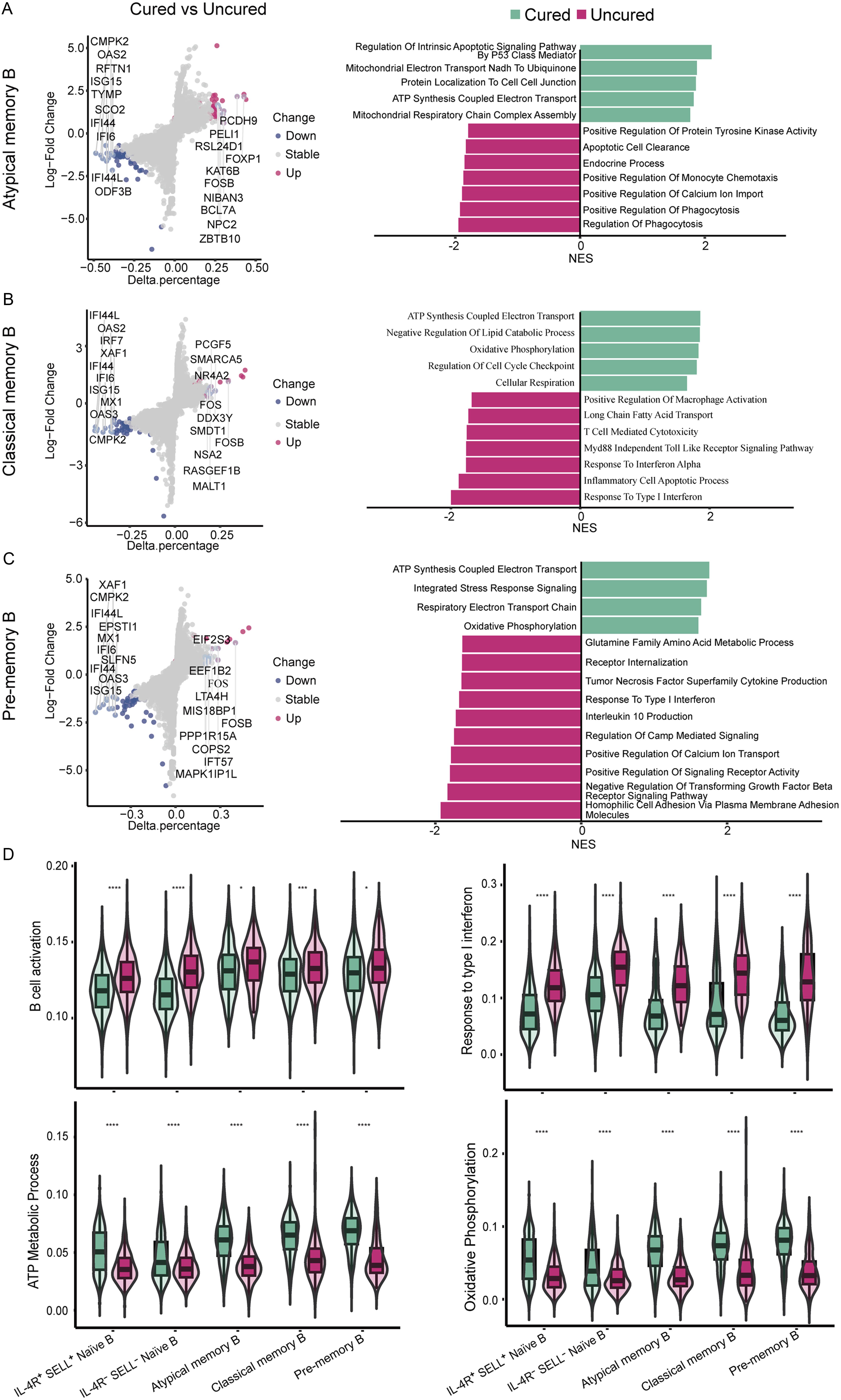 Functional profiles of memory B cells in cured versus uncured patients.