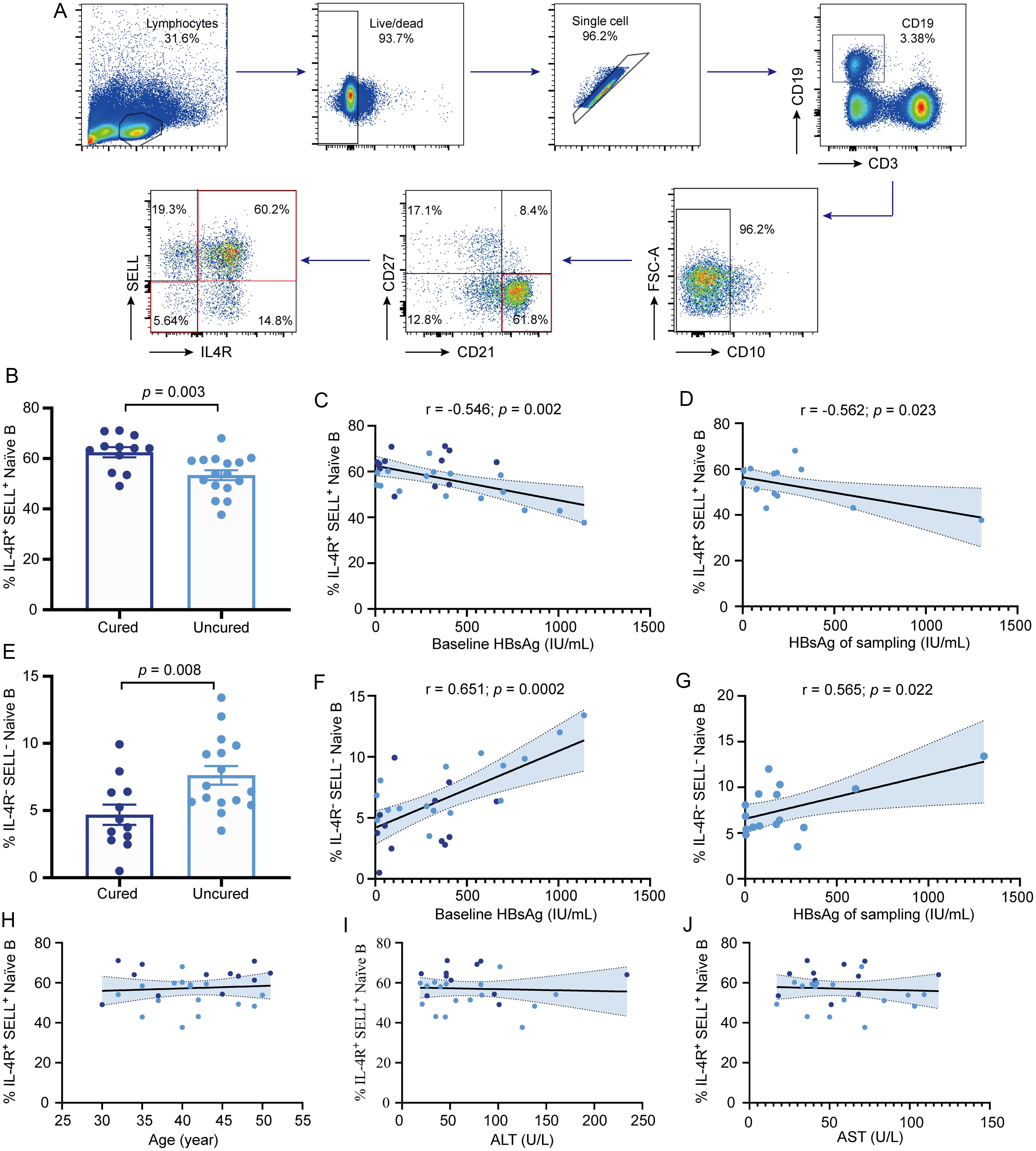 High frequency of IL-4R<sup>+</sup>SELL<sup>+</sup> Naïve B cells was further confirmed in cured patients with CHB.