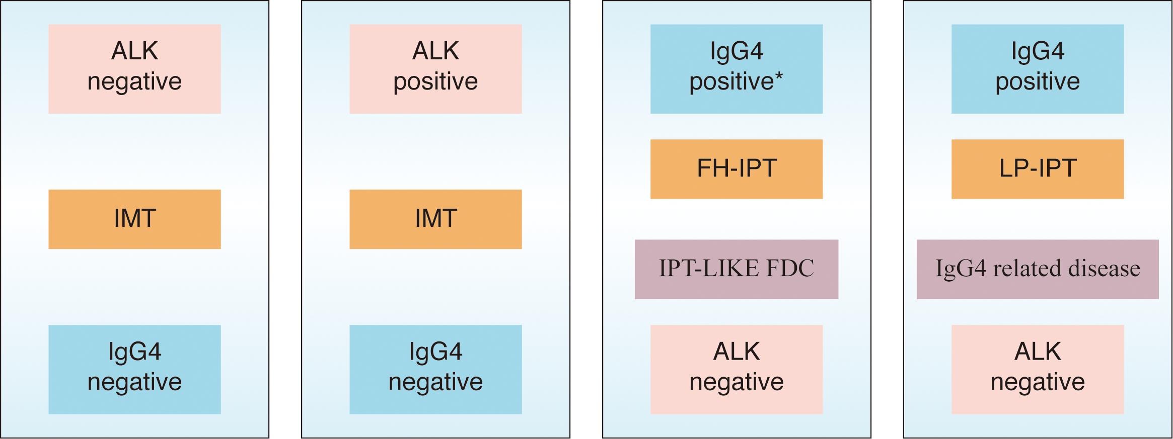Although IMT formerly diagnosed as IPT, the expression of ALK and lack of IgG4 demonstrate that IMT is a distinctive neoplasm and should be separated from other lesions that are included in the broad category of IPT.