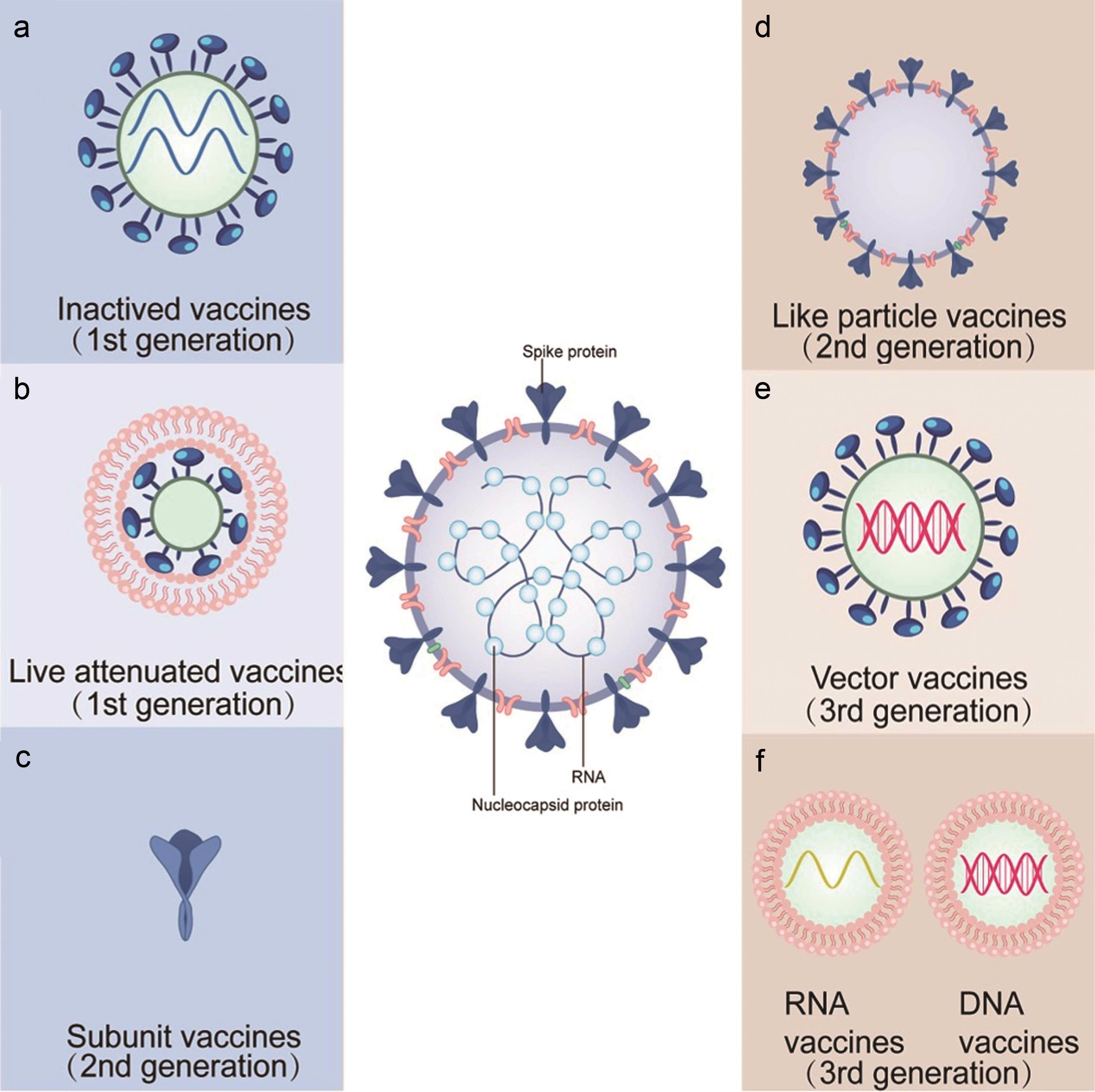 Research, Development and Application of COVID-19 Vaccines: Progress