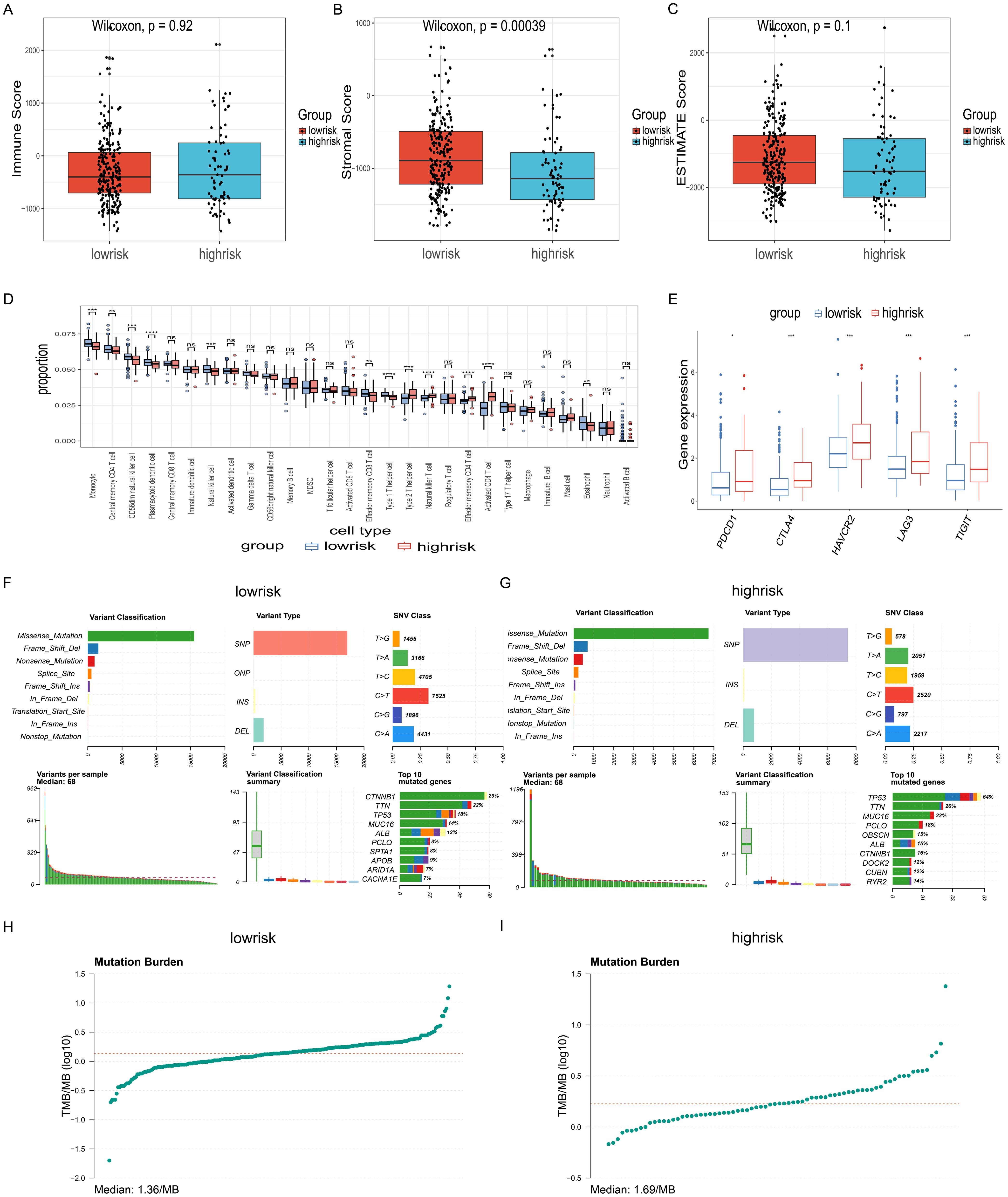 Immune cell infiltration and gene mutation analysis of high- and low-risk groups.