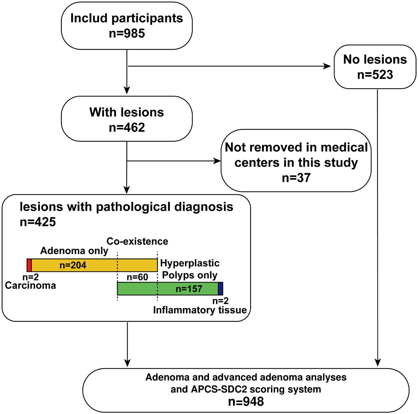 The participants included in this study.