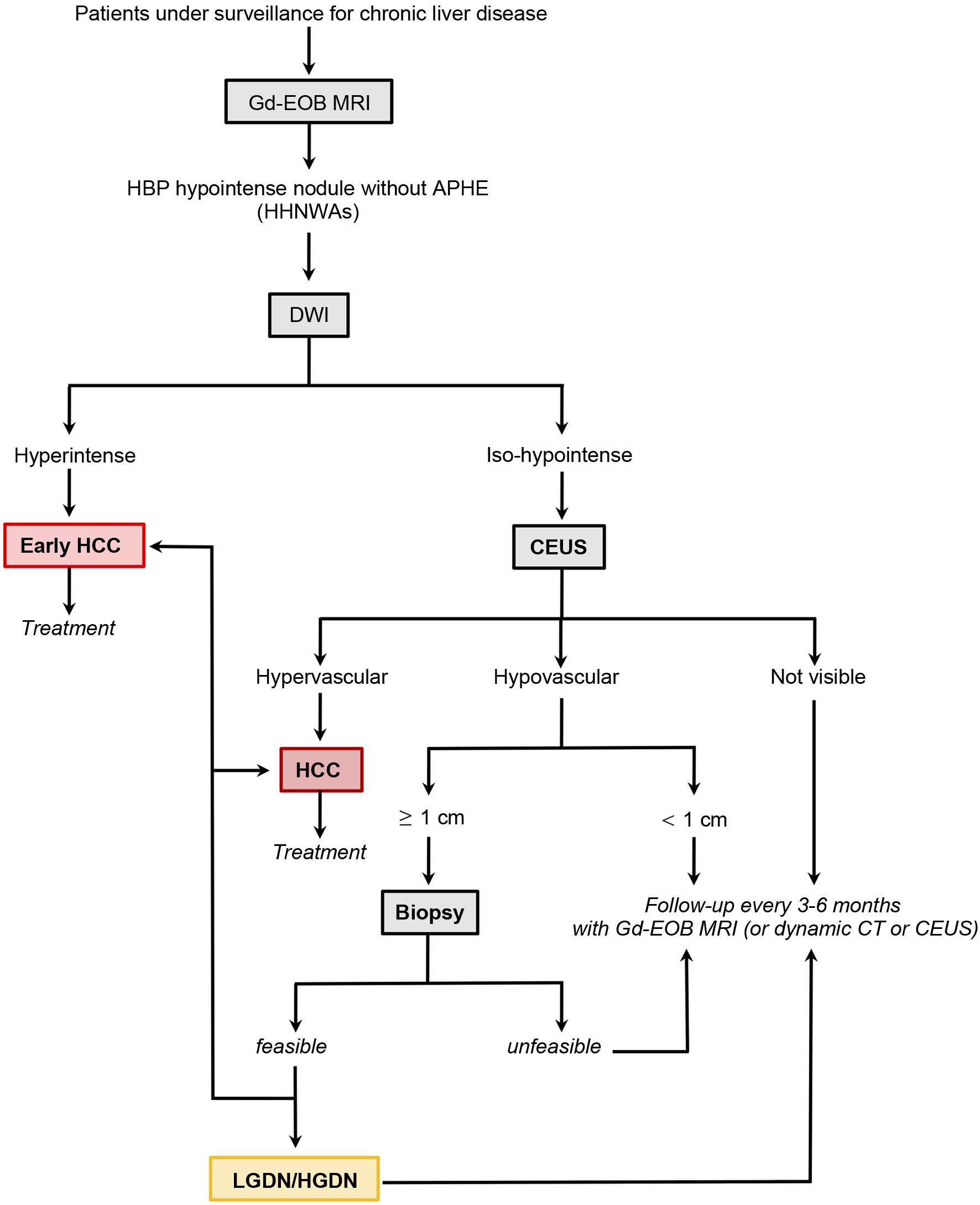 Diagnostic algorithm for evaluation of hepatobiliary phase (HBP) hypointense nodules without arterial phase hyperenhancement (APHE) (HHNWAs) in patients under surveillance for chronic liver disease, modified from Renzulli <italic>et al</italic>.