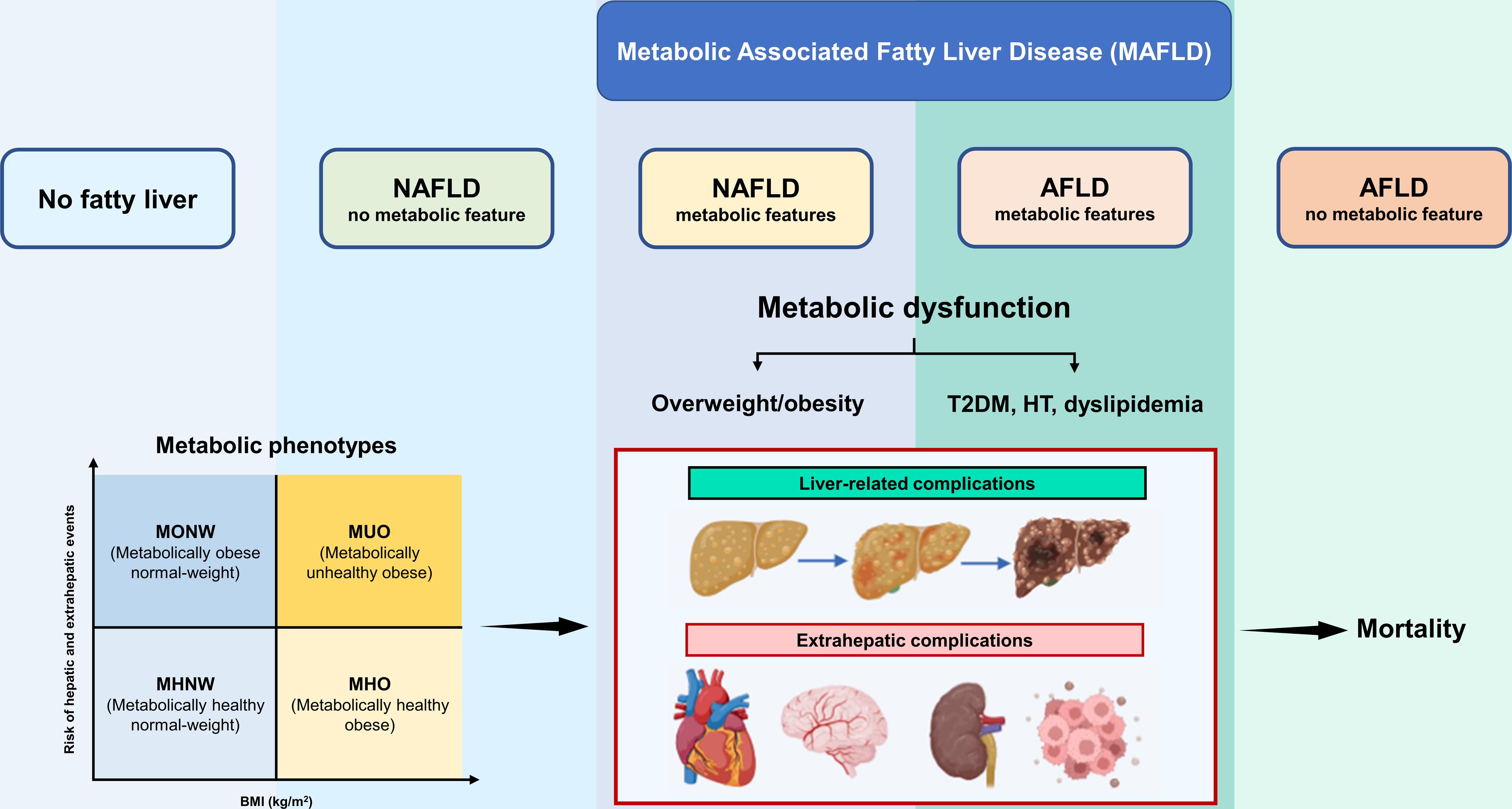 Metabolic phenotypes as drivers of health outcomes in patients with fatty liver diseases.