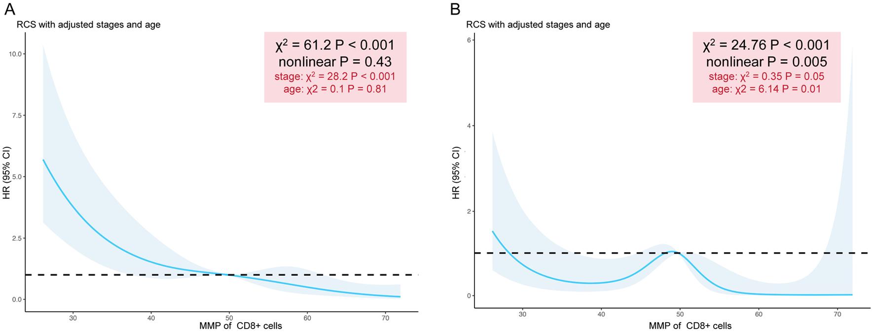 Continuous association between the MMP of CD8<sup>+</sup> T cells and incident risk of BI and ACLF adjusted with ages and stages of cirrhosis.