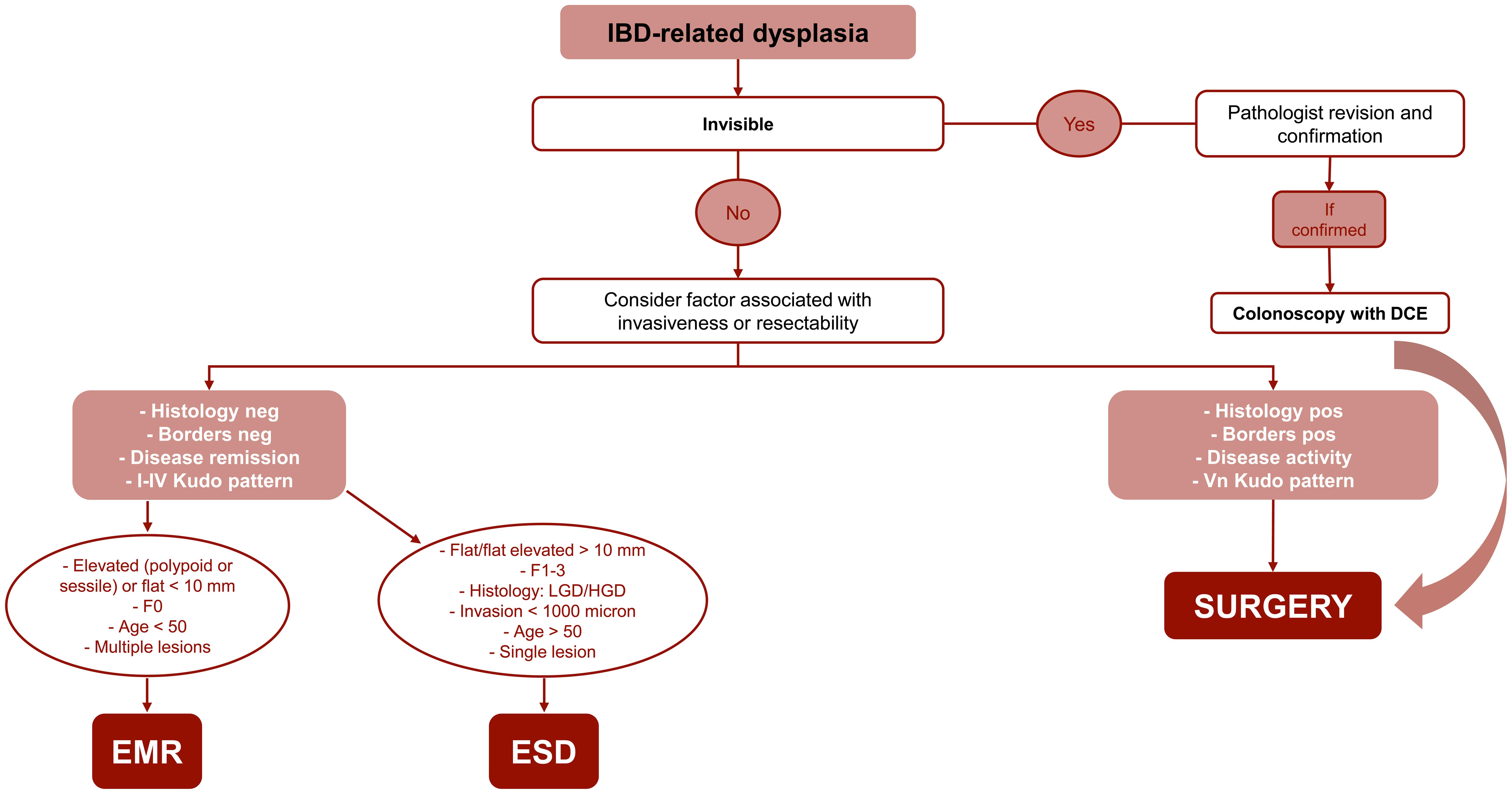 Practical flow chart for the management of visible Inflammatory Bowel Diseases (IBD)-related dysplastic lesions.