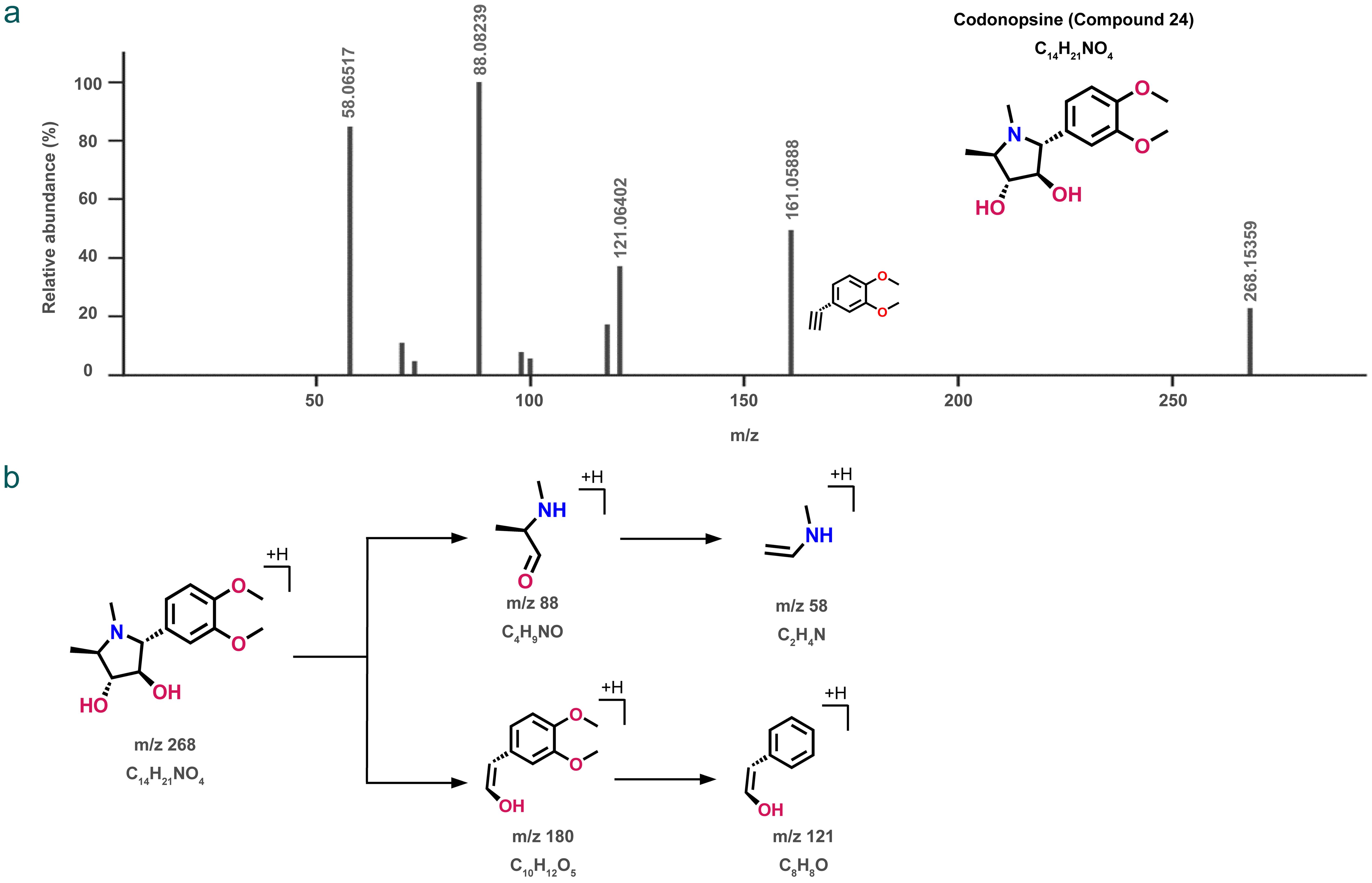 Fragmentation pattern of Codonopsine (Compound 24).