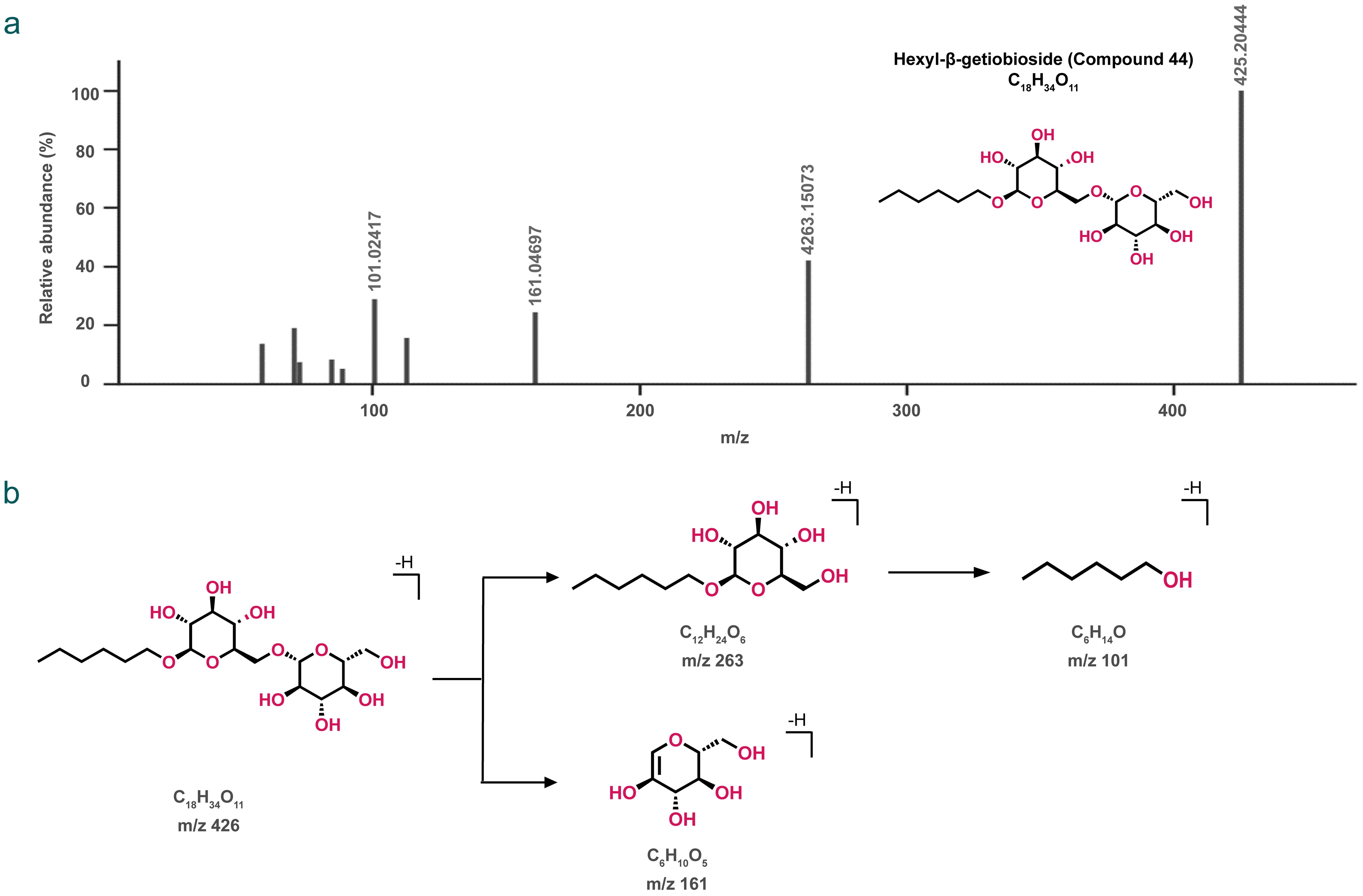 Fragmentation pattern of Hexyl-β-getiobioside (Compound 44).