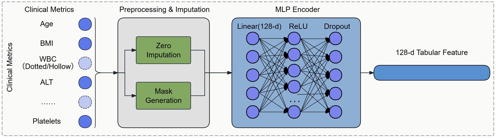 Architecture of the clinical data encoder.