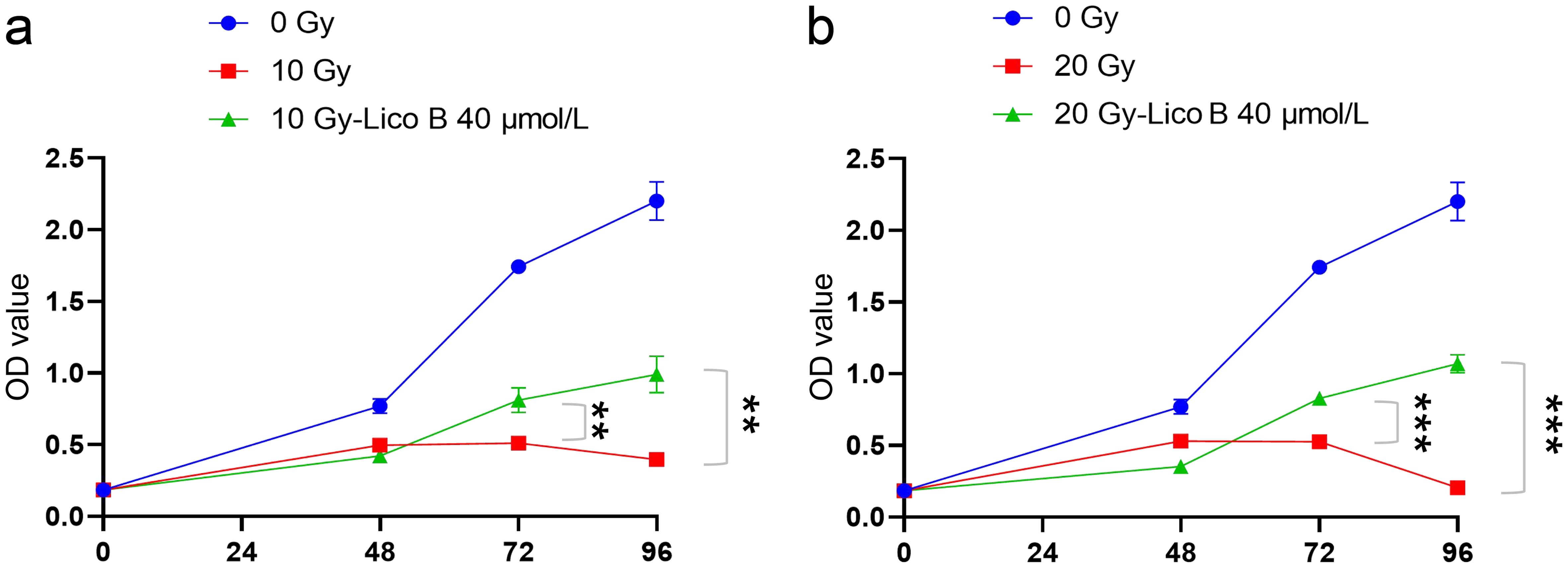 Licochalcone B promoted cell proliferation.