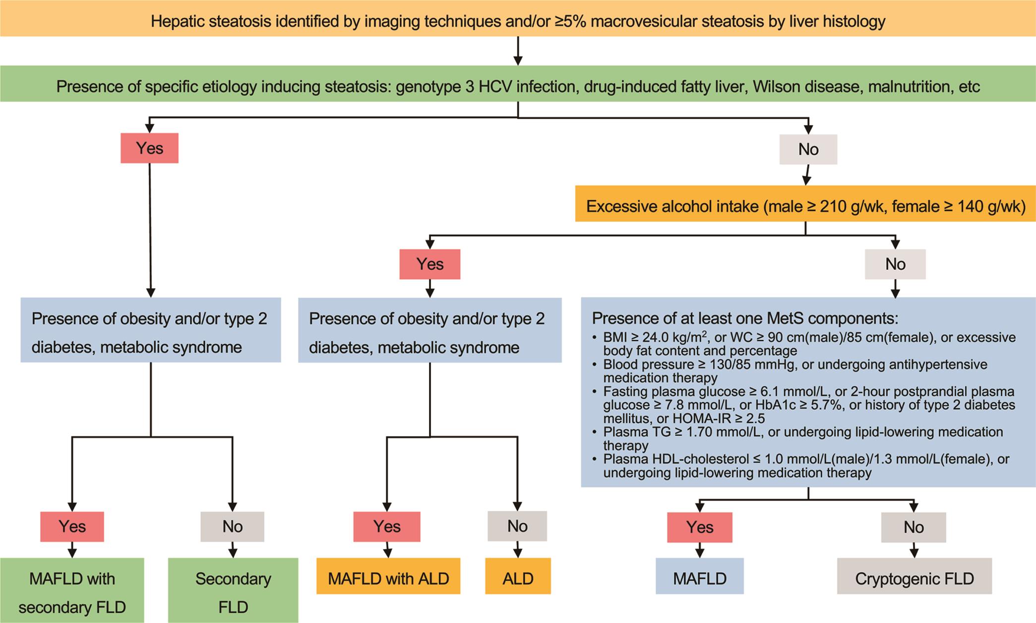 Etiological diagnosis flowchart of fatty liver disease.