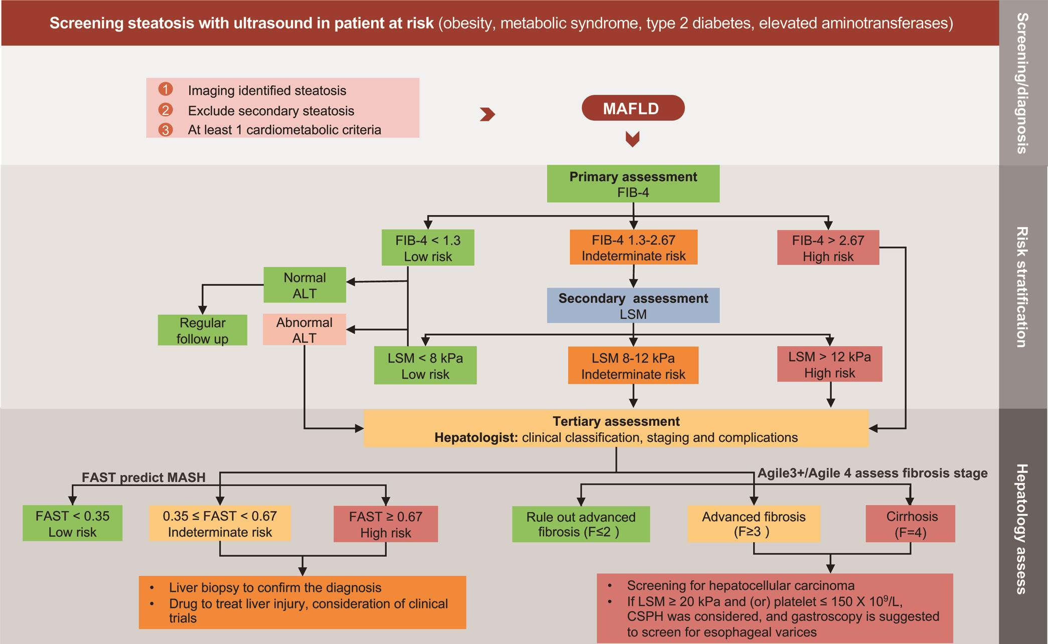 Screening, diagnosis and assessment of metabolic dysfunction-associated fatty liver disease.