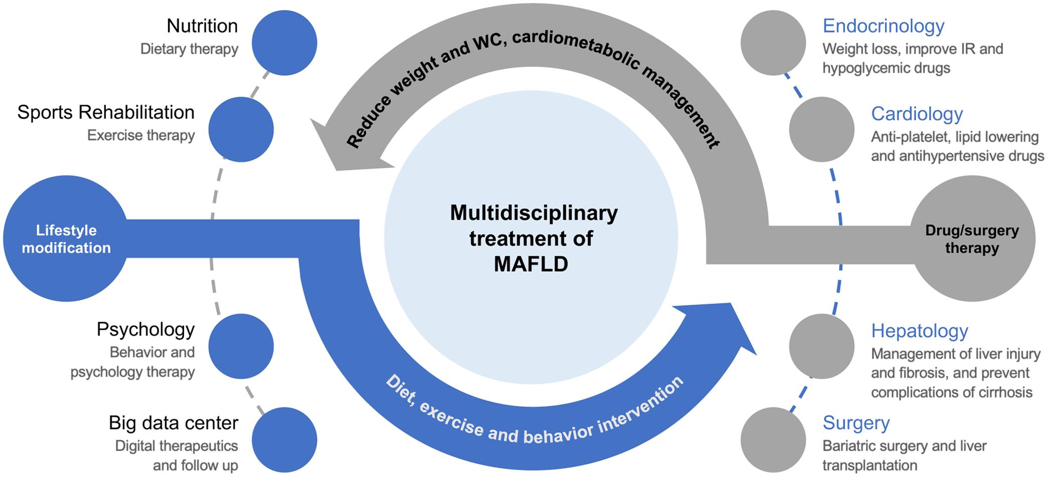 The multidisciplinary management for MAFLD.