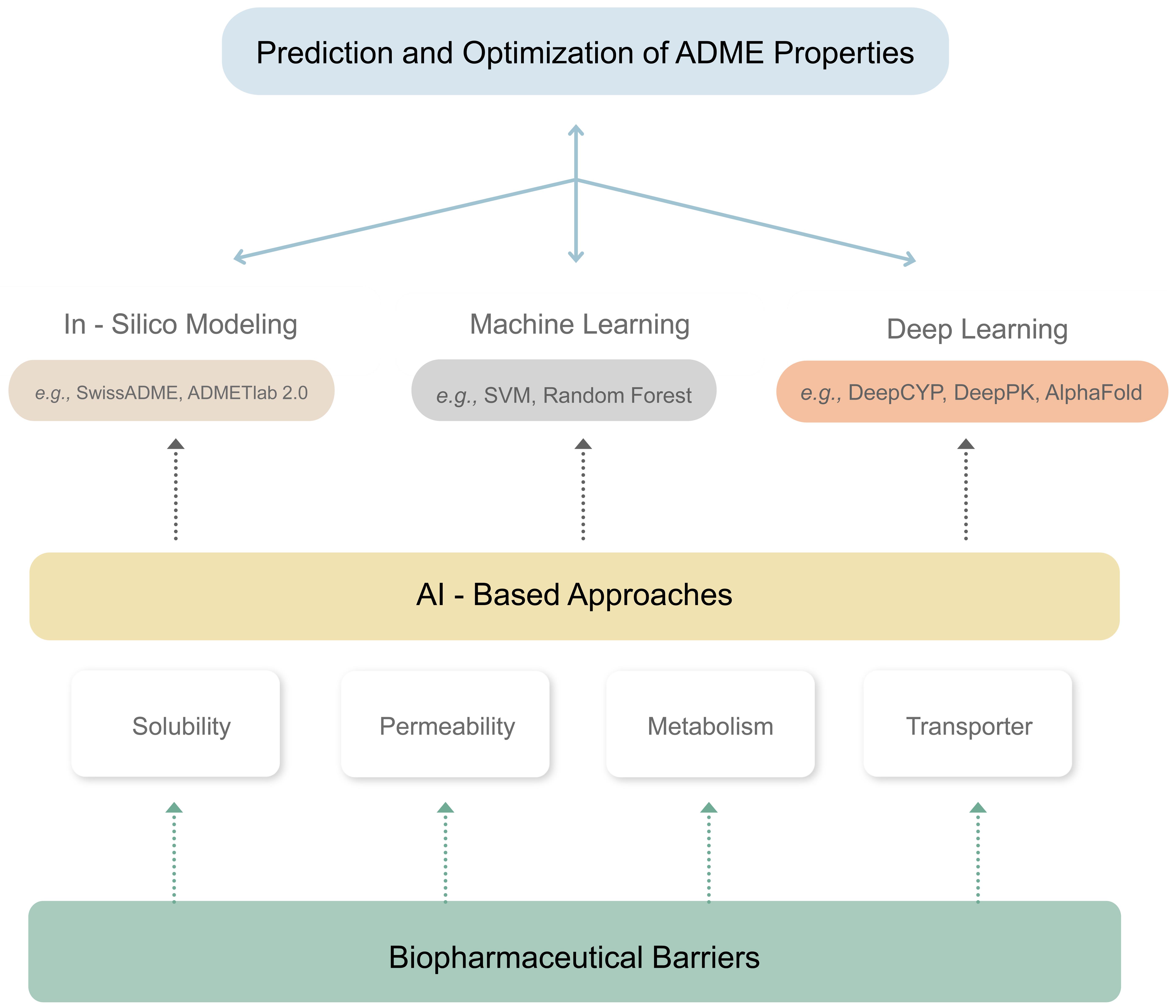The role of AI in biopharmaceuticals utilizes in silico modeling, machine learning, and deep learning to enhance ADME properties and improve drug bioavailability and development success.